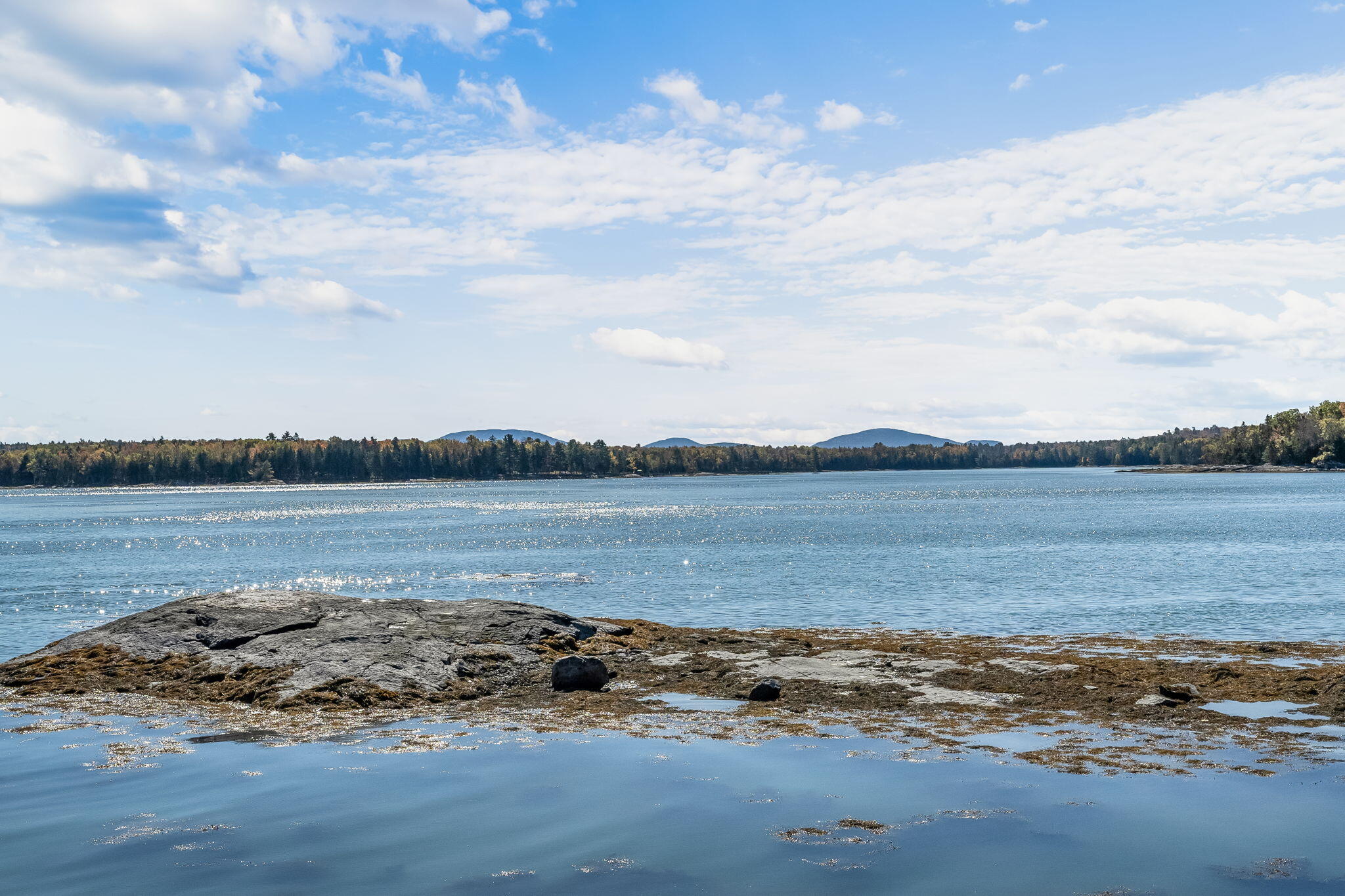 82 Falcon Lane, Lamoine, ME, 04605