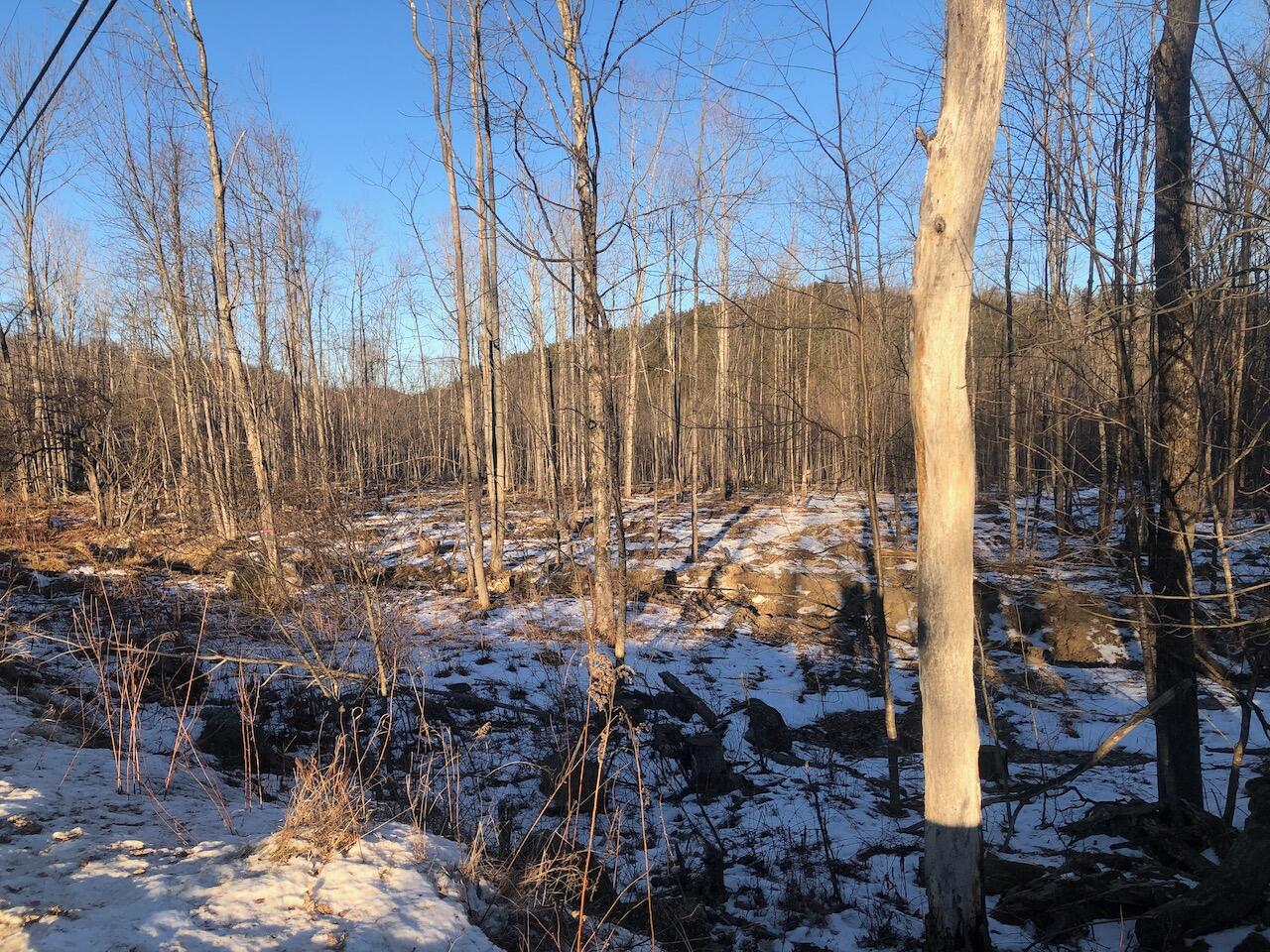 L25 Canton Mountain Road, Jay, ME 04239 IMG_8002