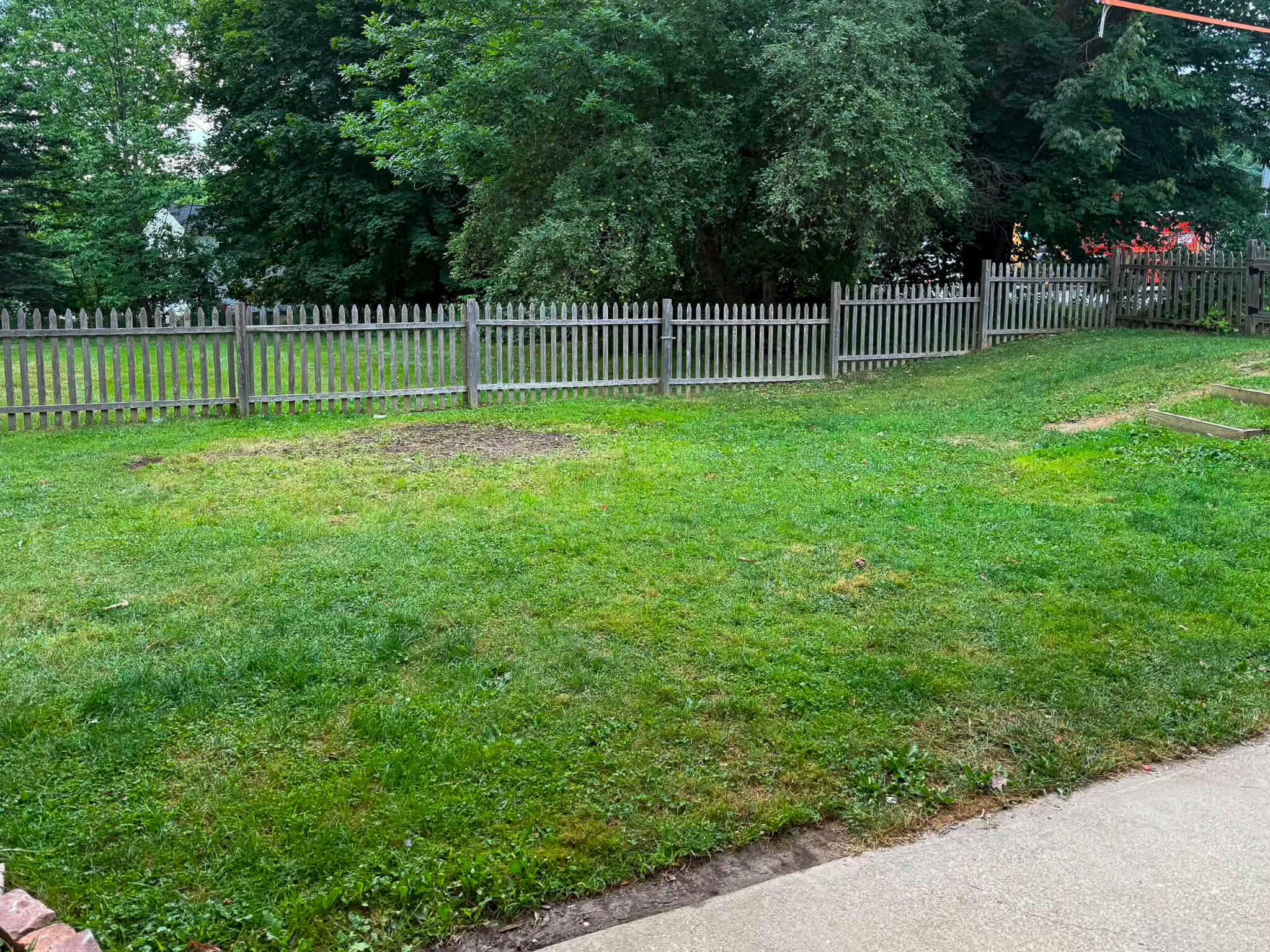 Backyard