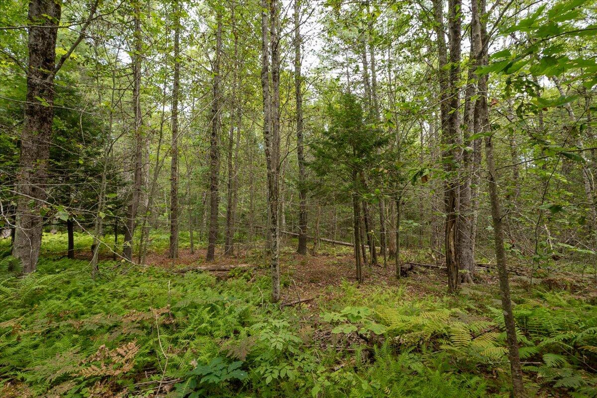Part of Map 7 Lot 48-A Nelson Ridge Road S, Washington, ME, 04574