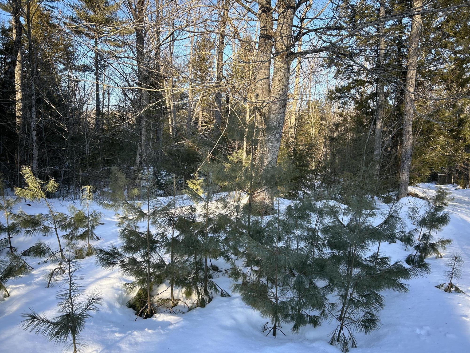 M7L22 Nelson Ridge Road N, Washington, ME, 04574