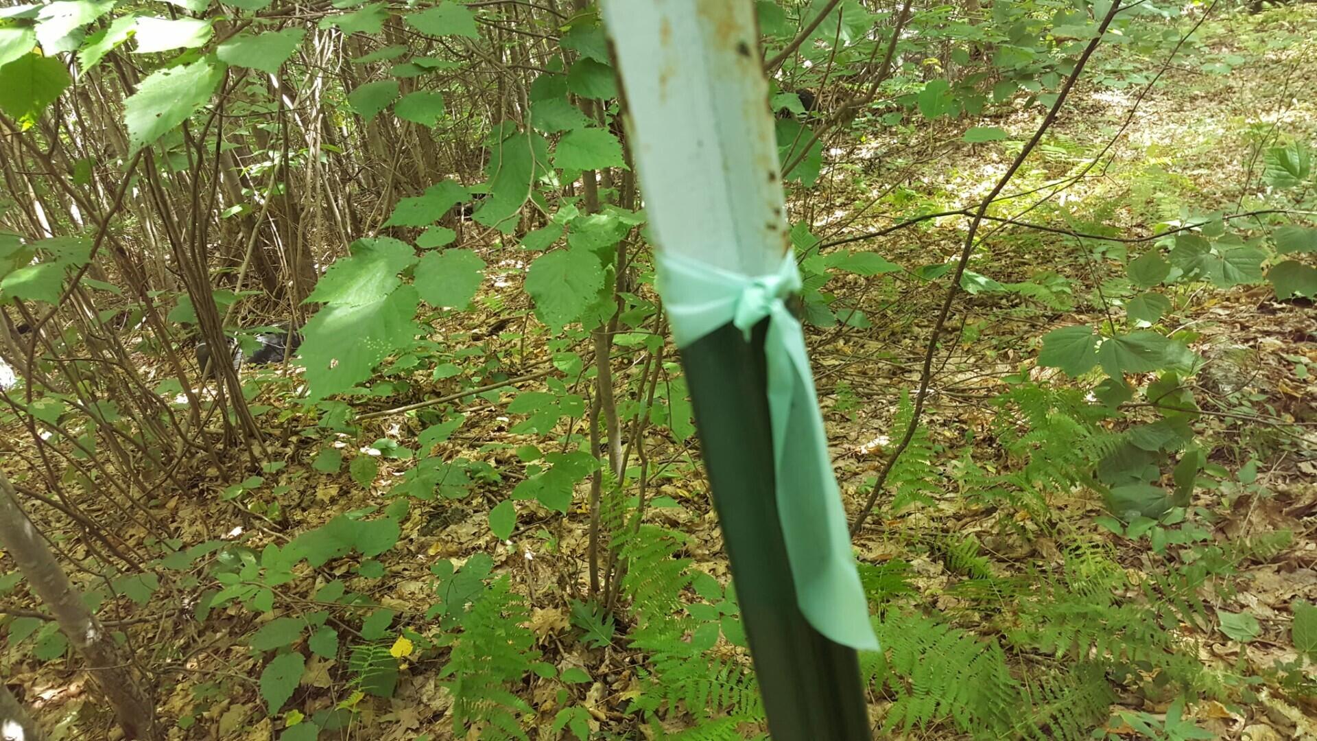 M4 96 & 99 Parker Pond Road, Jay, ME, 04239