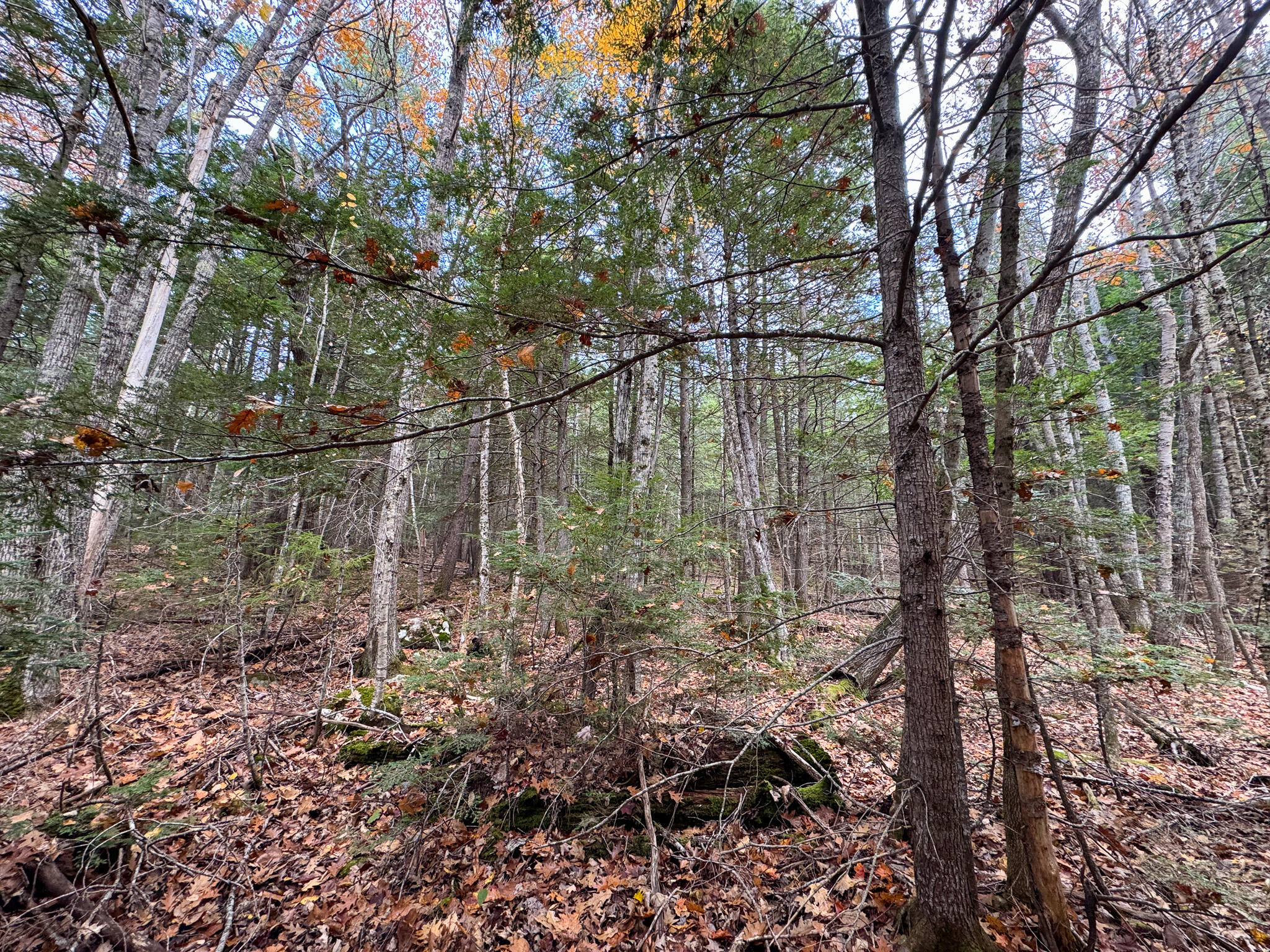 Lot 2 Darci Lane, Montville, ME, 04941