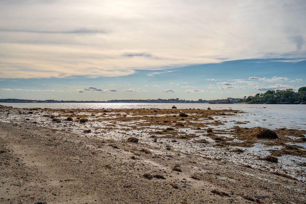 31 Elizabeth Street, Portland, ME, 04108