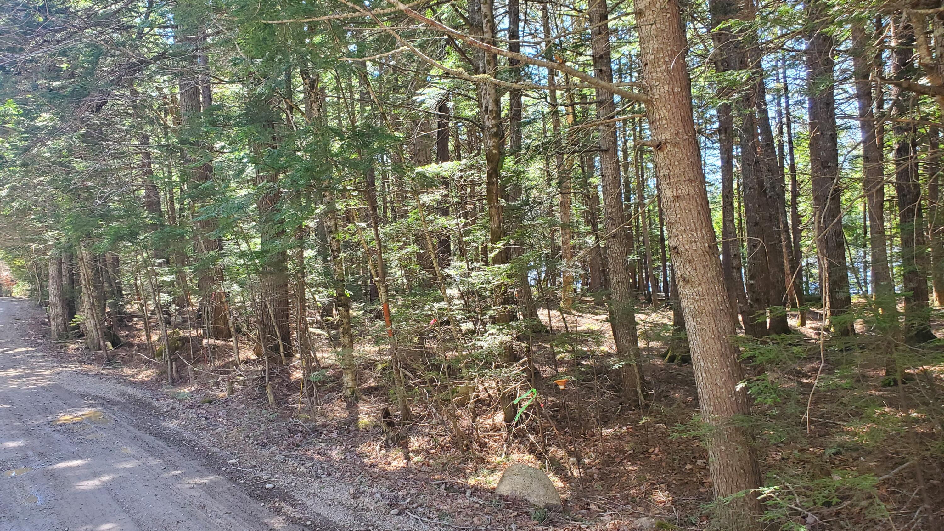 307 Lakeville Shores Road, Lakeville, ME, 04487