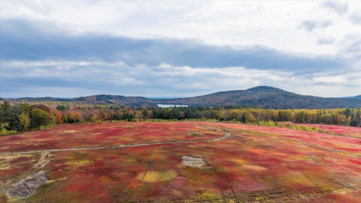 423 Beech Hill Road, Northport, ME, 04849