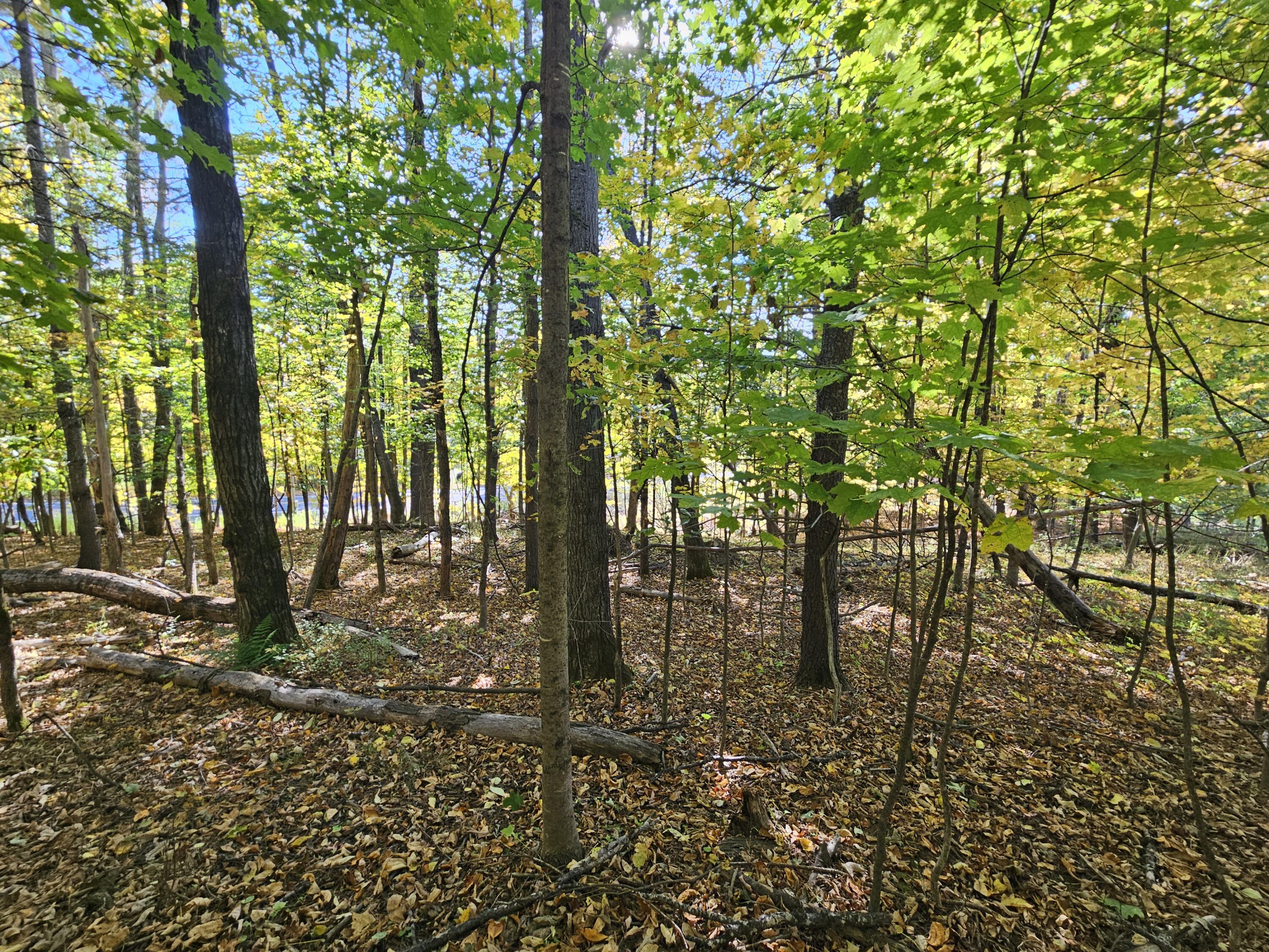 R-5 13-A Norton Hill Road, Strong, ME, 04983