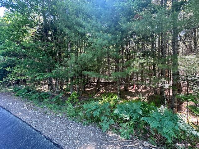 Lot UNIT&nbsp;4 Bonnie Way, Winterport, ME, 04496