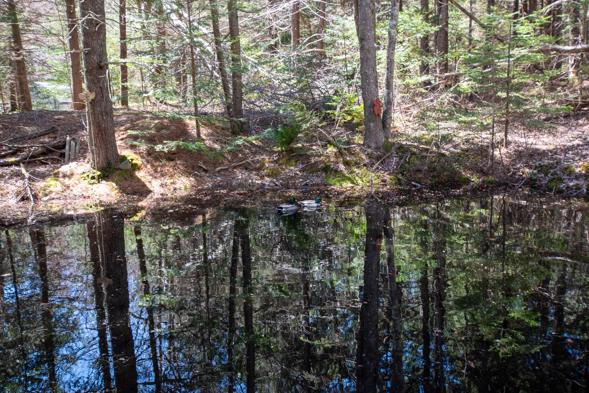 14 Pinkie Lane, Southport, ME, 04576