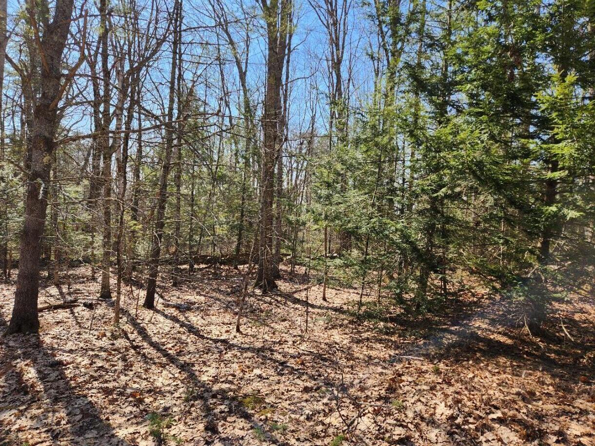 24 Palmer Hill Road, Nobleboro, ME, 04555