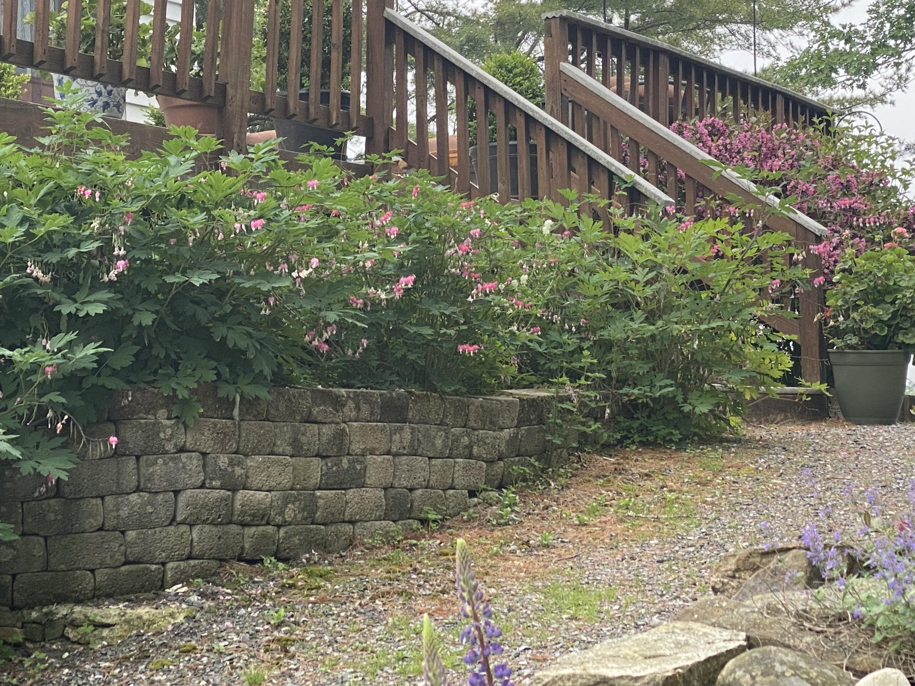 33 + 30 Taylor Road, Westport Island, ME, 04578