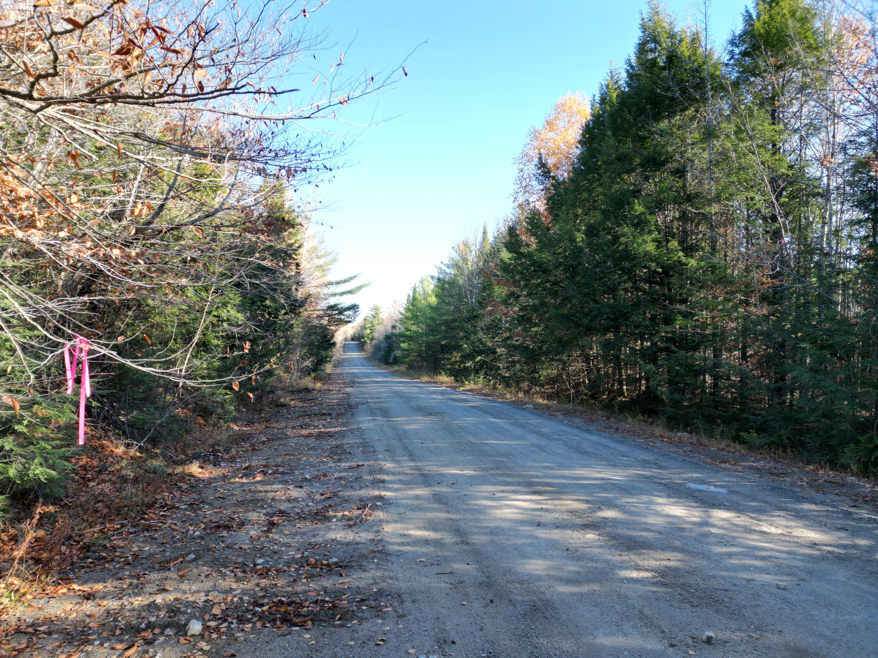 Lot 18-1 Mattamiscontis Road, Howland, ME, 04448