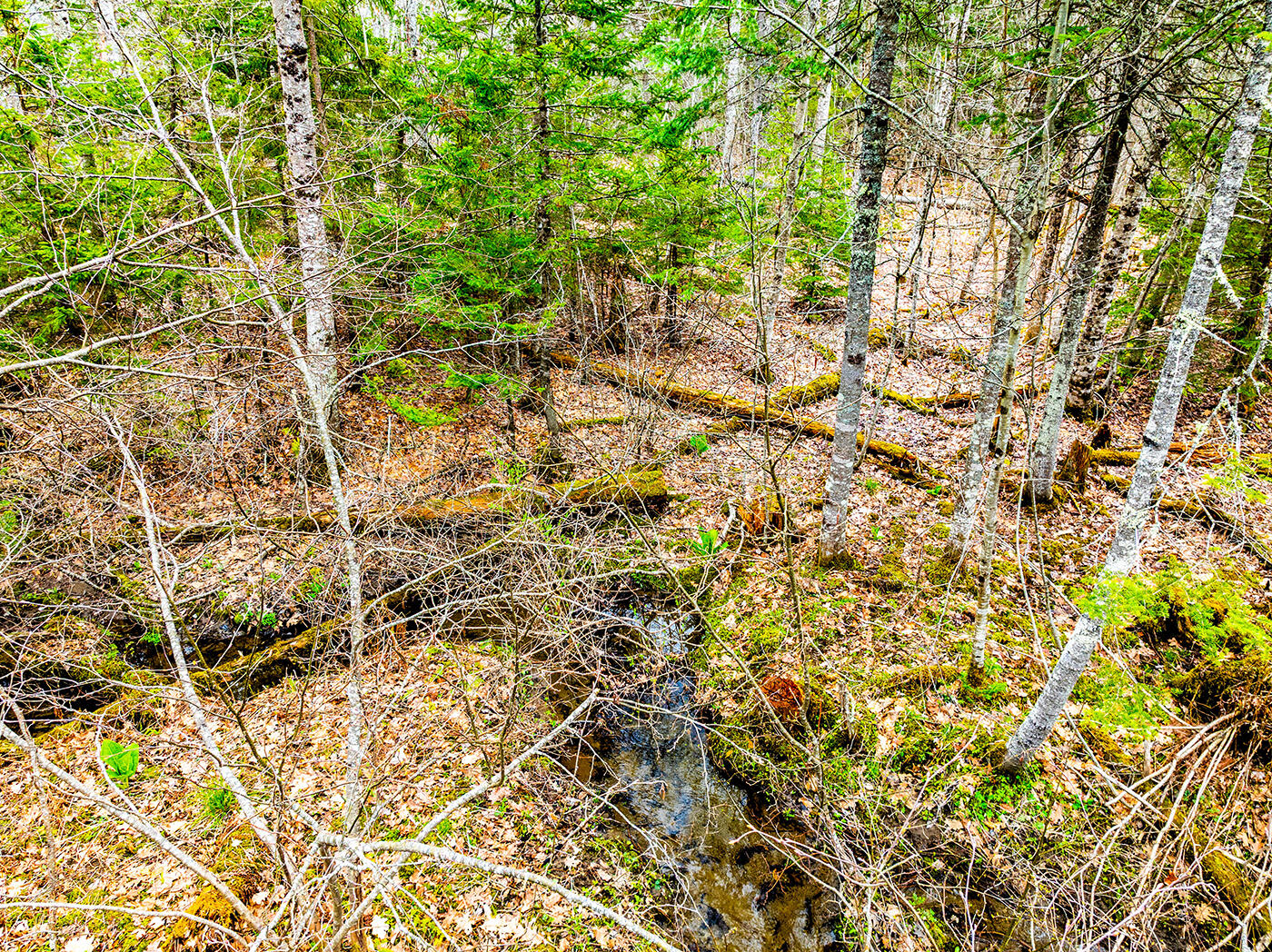 616 Slab City Road, Lincolnville, ME, 04849