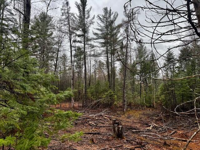 SO 001 Plan 2 Lot 16.1 Long Falls Dam Road, Lexington Twp, ME, 04961