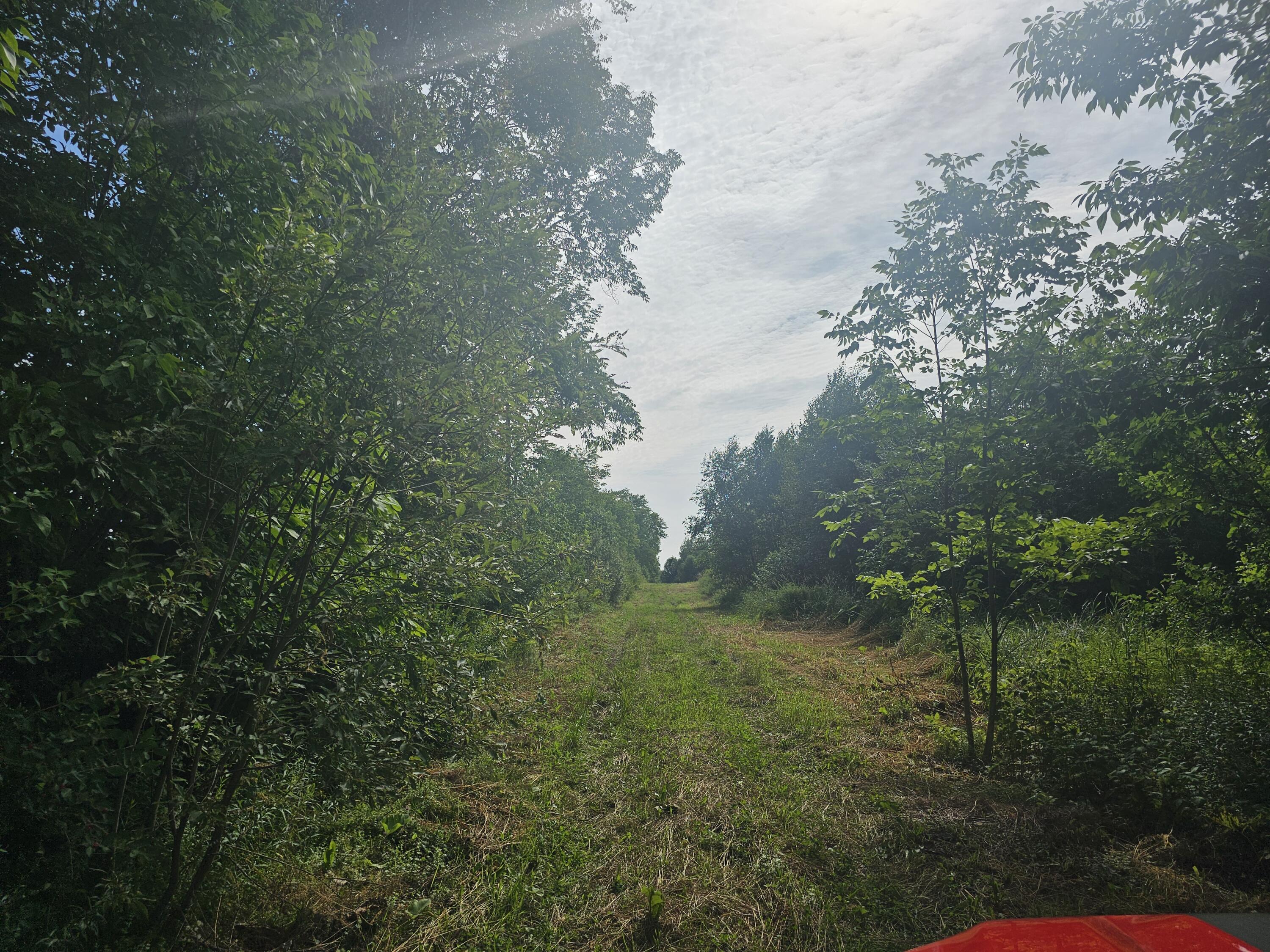 L3 M,R-1 Aroostook Scenic Highway, Patten, ME, 04765