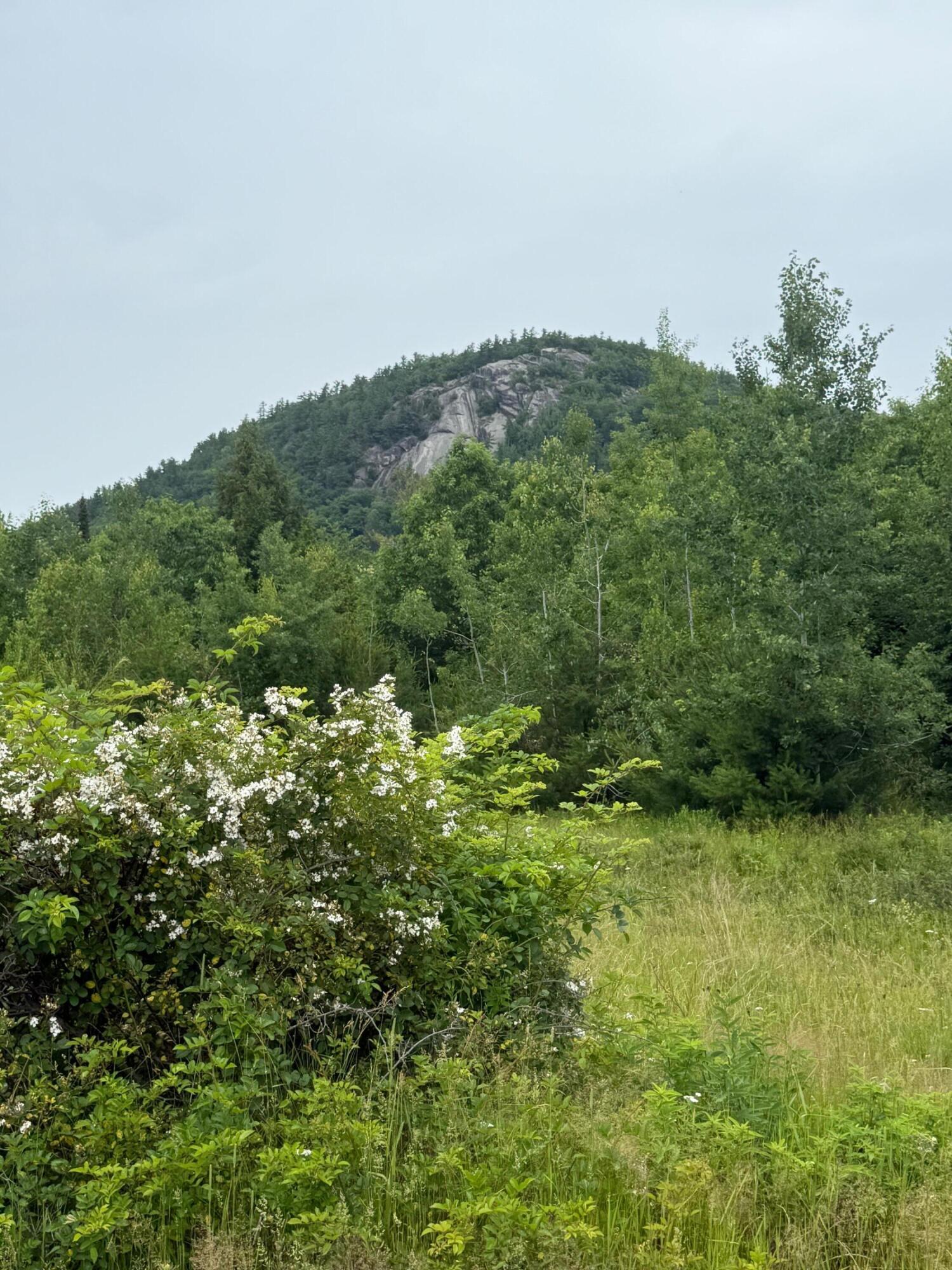 0 Hawk Meadow Road, Waterford, ME, 04088