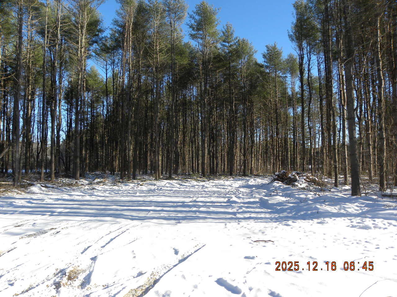 Lot A Bernier Road, Sanford, ME, 04073