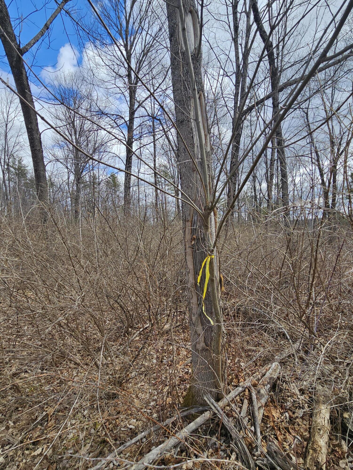 Lot 113-2 Cushman Road, Winslow, ME, 04901