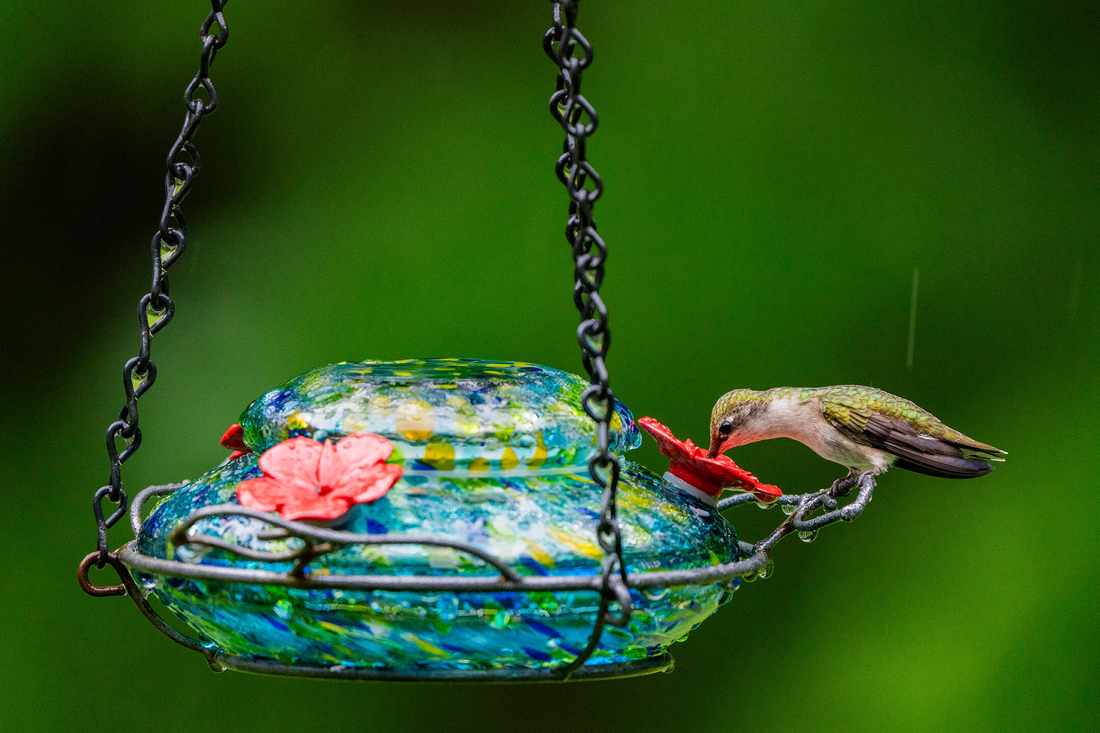 46 River Edge Drive, Woolwich, ME, 04579