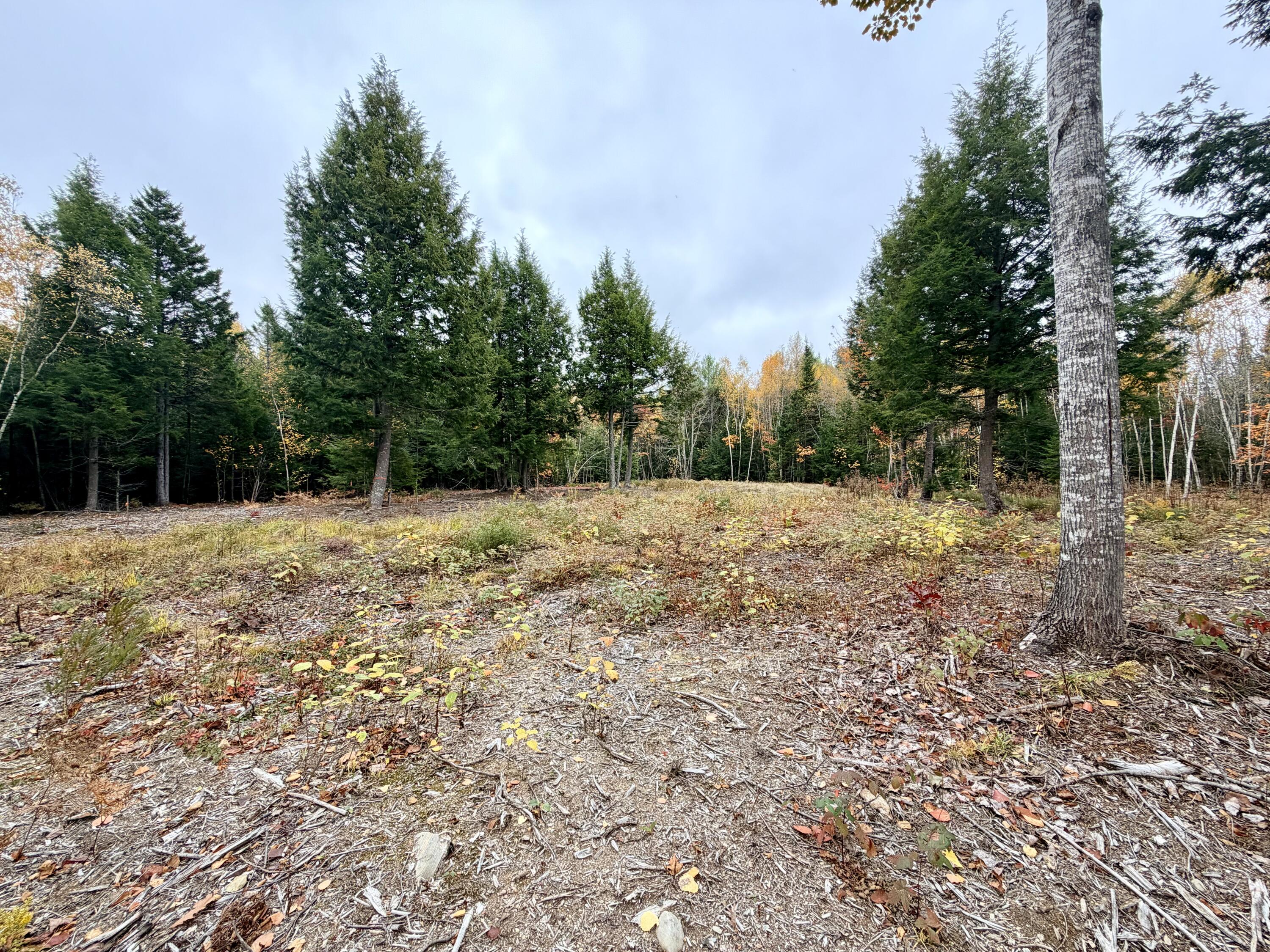 45 Bass Overlook, Waltham, ME, 04605