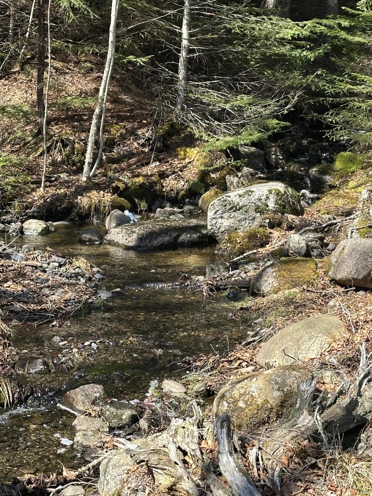 Lot UNIT&nbsp;0 Morgan Bay Road, Surry, ME, 04684