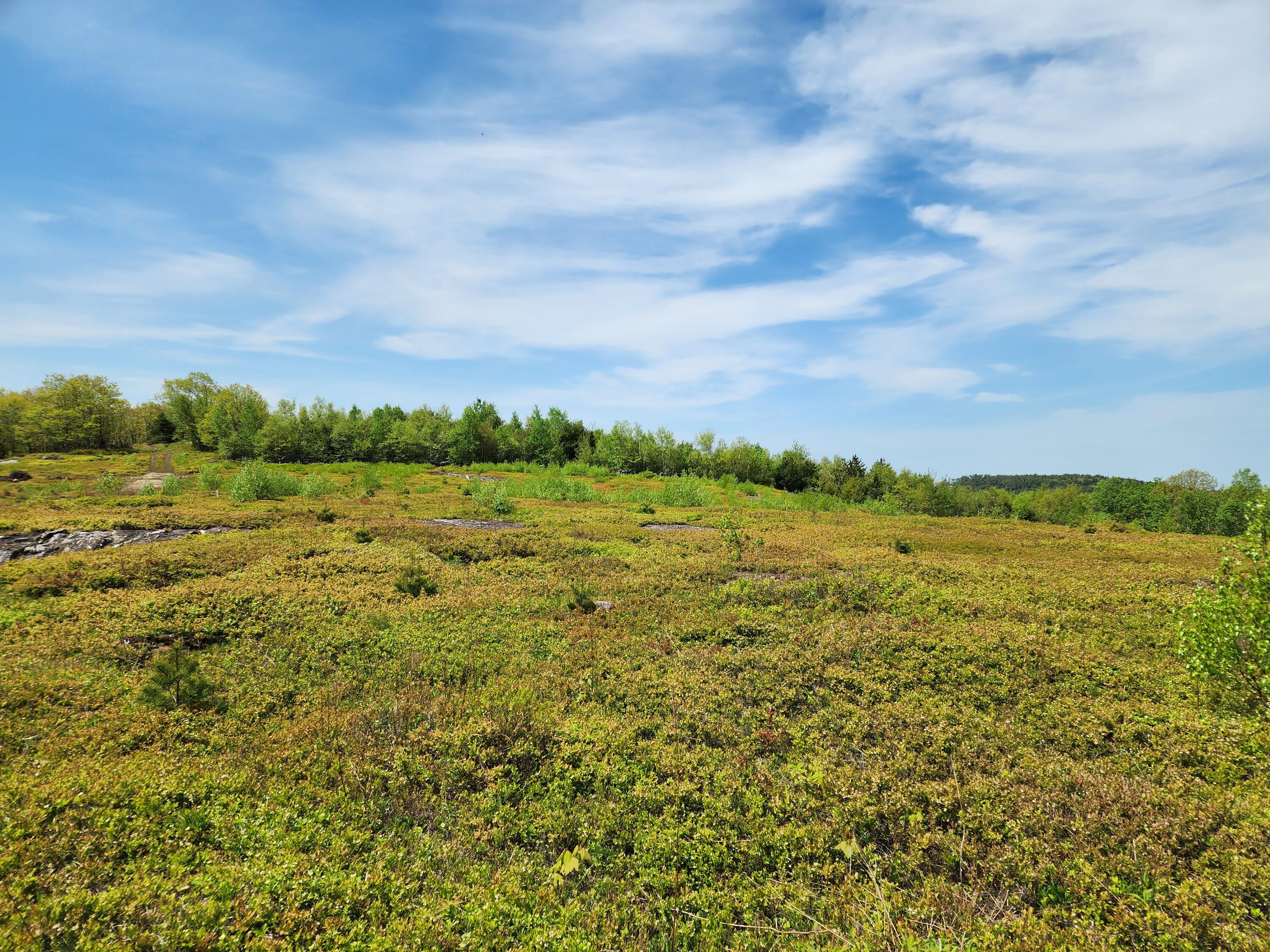 3 Whispering Berries Hill, Liberty, ME, 04949