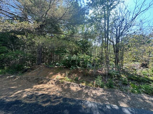Lot UNIT&nbsp;4 Bonnie Way, Winterport, ME, 04496