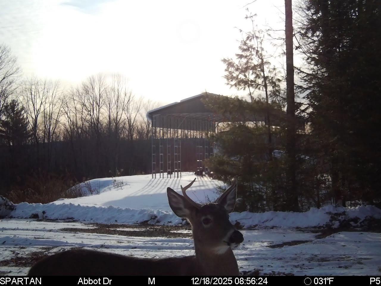 22 Monument Road, Abbot, ME 04406 ABKG4359