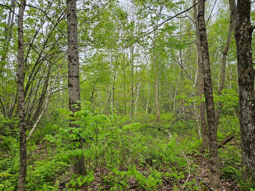 681 Mile Hill Road, New Sharon, ME, 04955