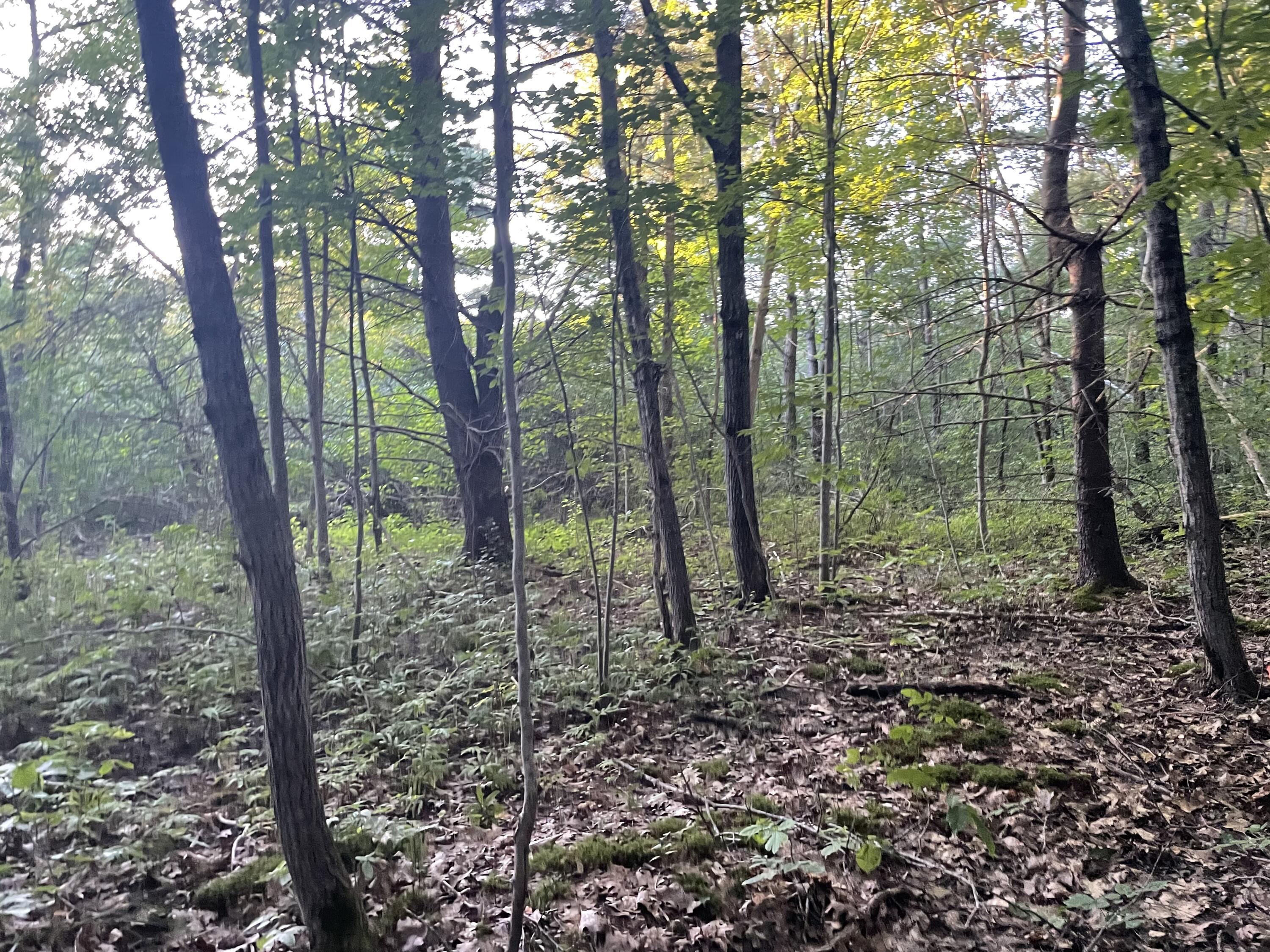 0 Cross Street, Manchester, ME, 04351