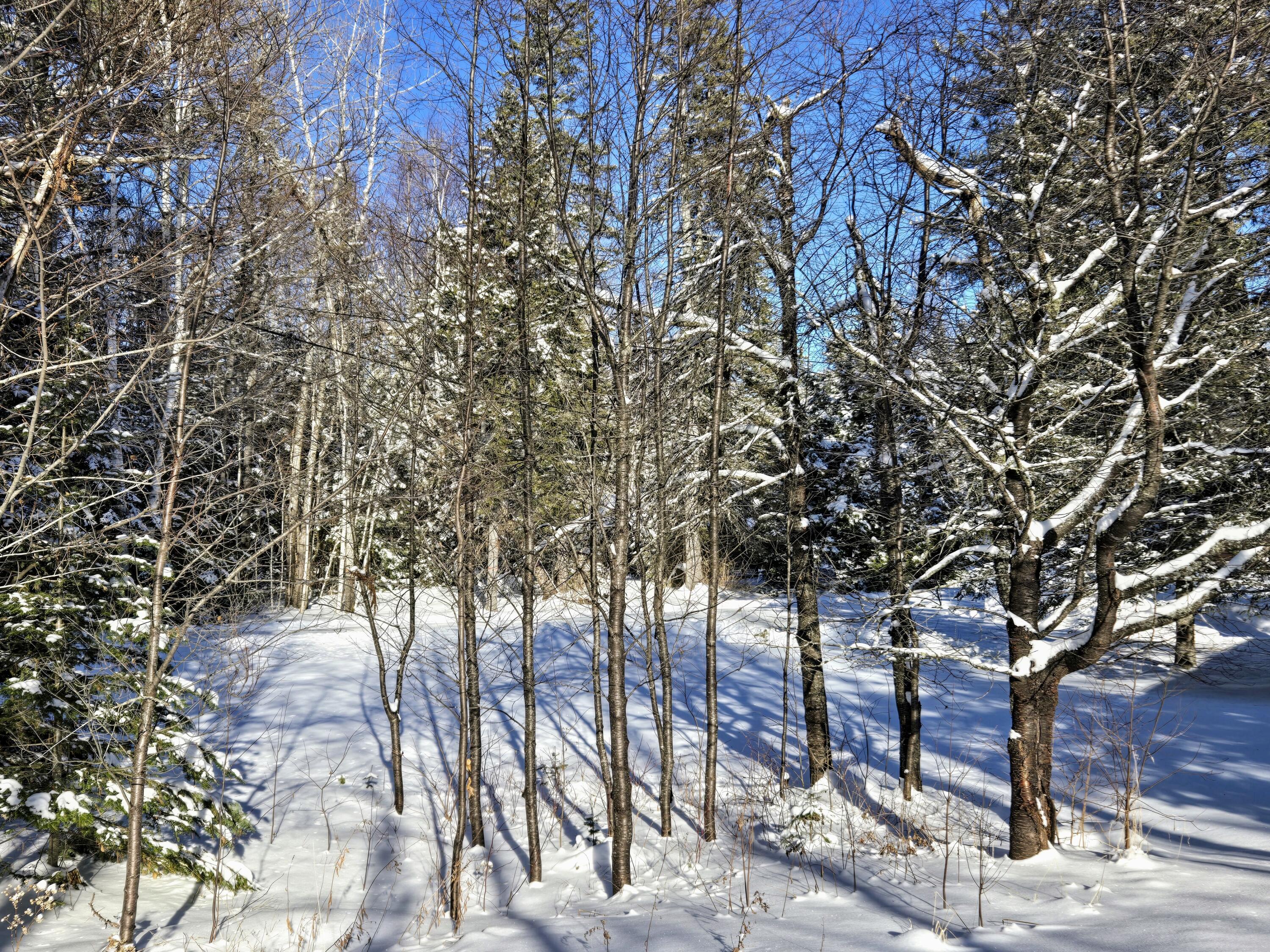 22 Robbins Nest Lane - Build Site UNIT 21, Dallas Plt, ME, 04970