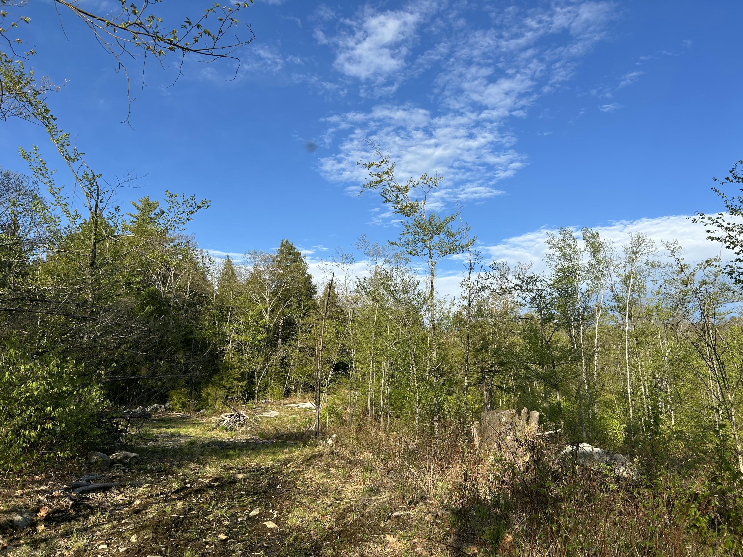 Photo of Map7Lot9 WM Livermore Road Fayette ME 04349