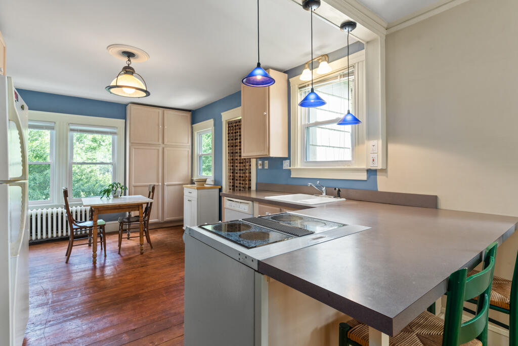 48 Belmont Street, Portland, ME 04101 DSC02906