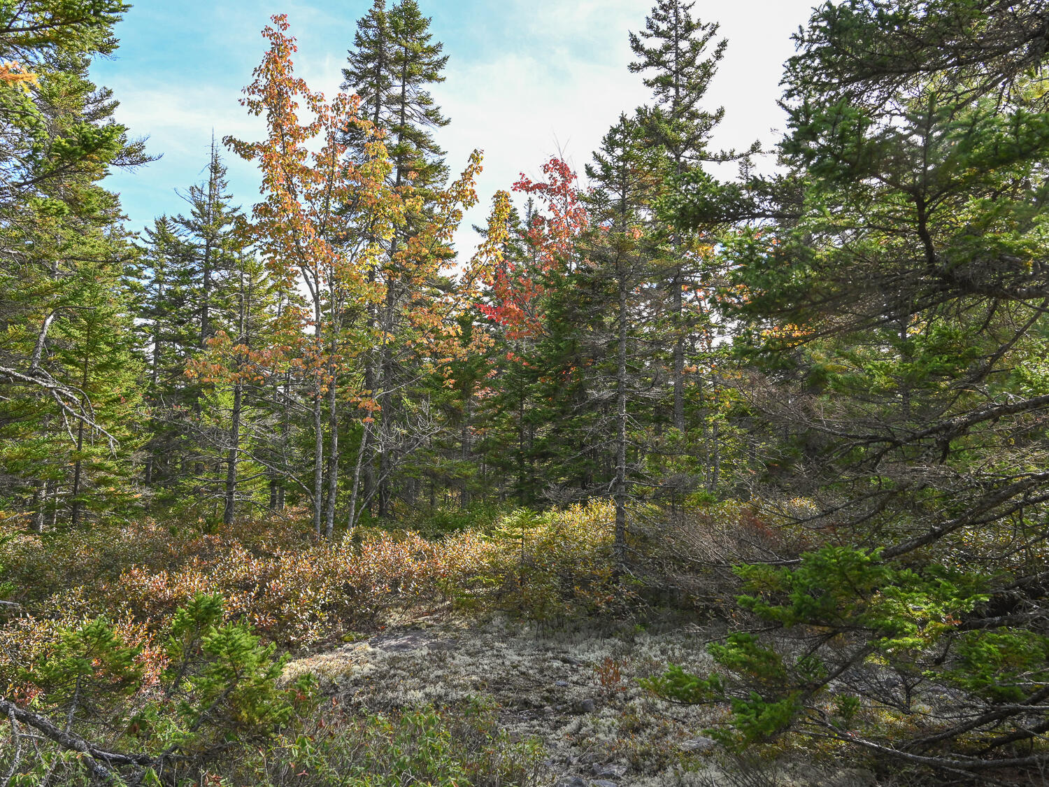 000 Seawall Map/Lot 17/11-04, Southwest Harbor, ME, 04679