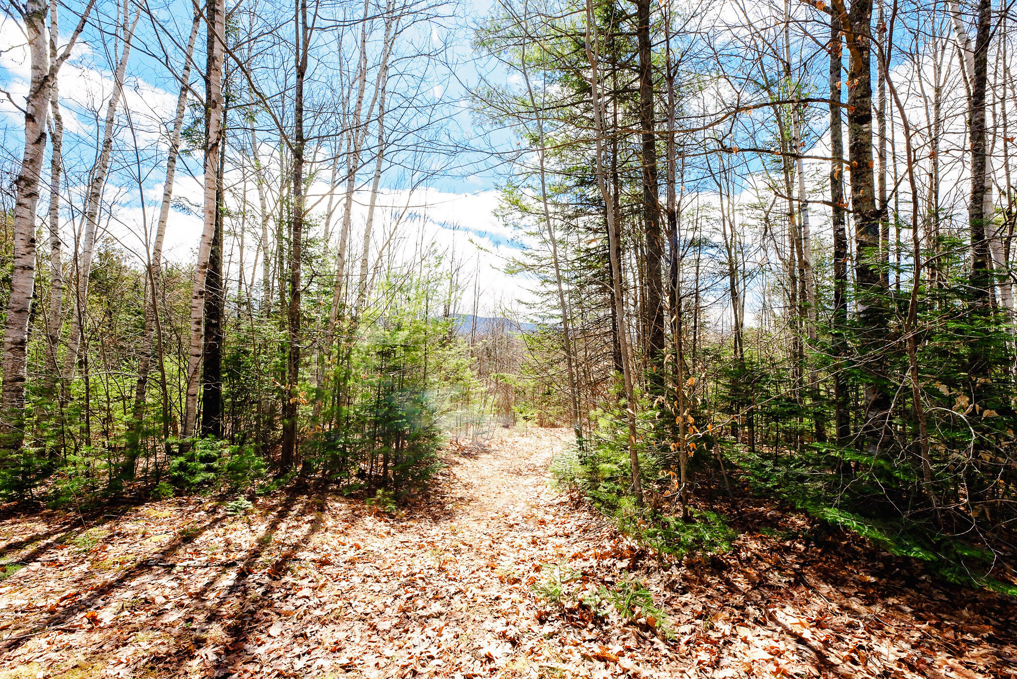 414 Taylor Hill Road, New Vineyard, ME, 04956