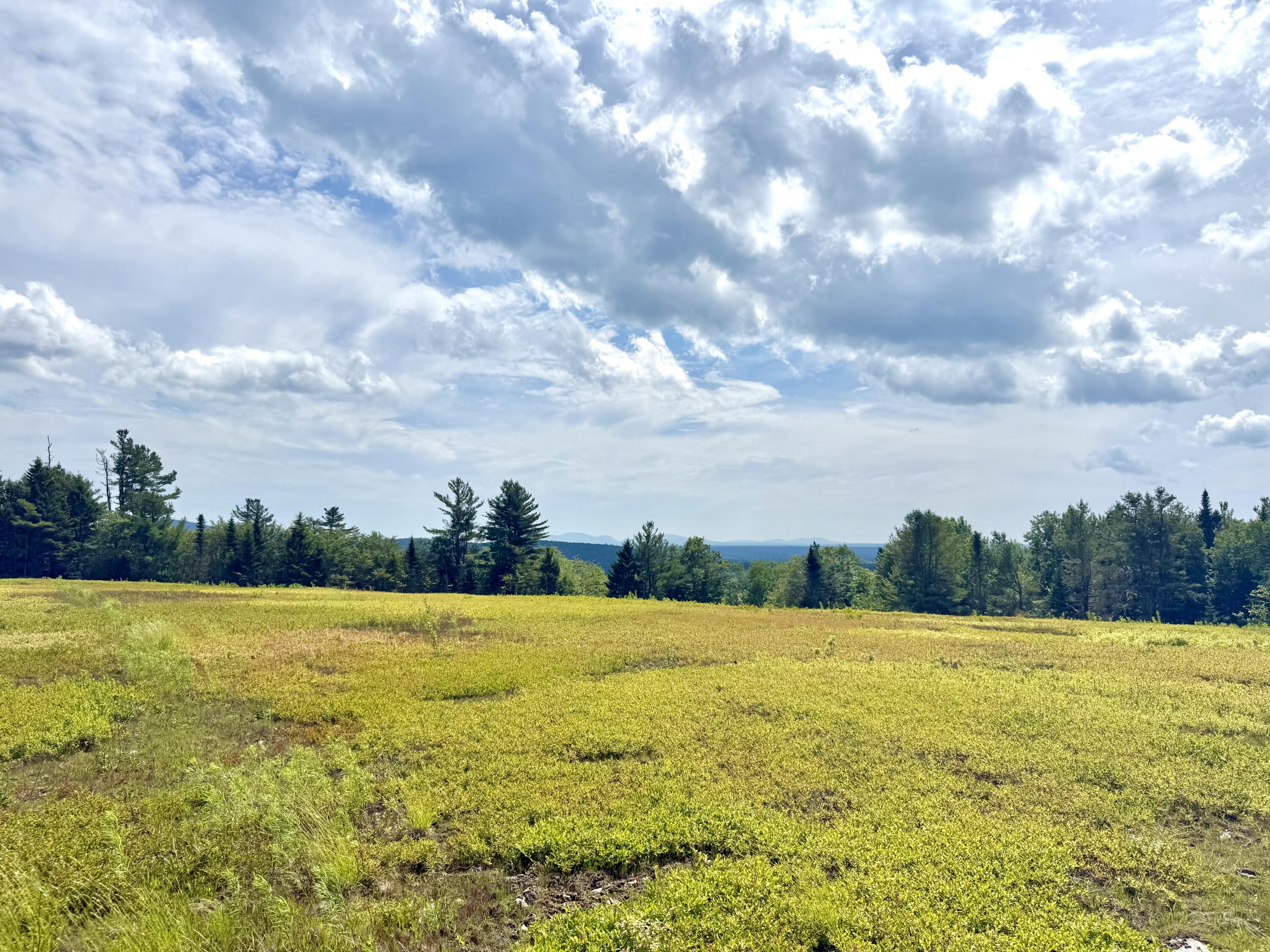 MAP13LOT11 Martins Ridge Road, Franklin, ME, 04634