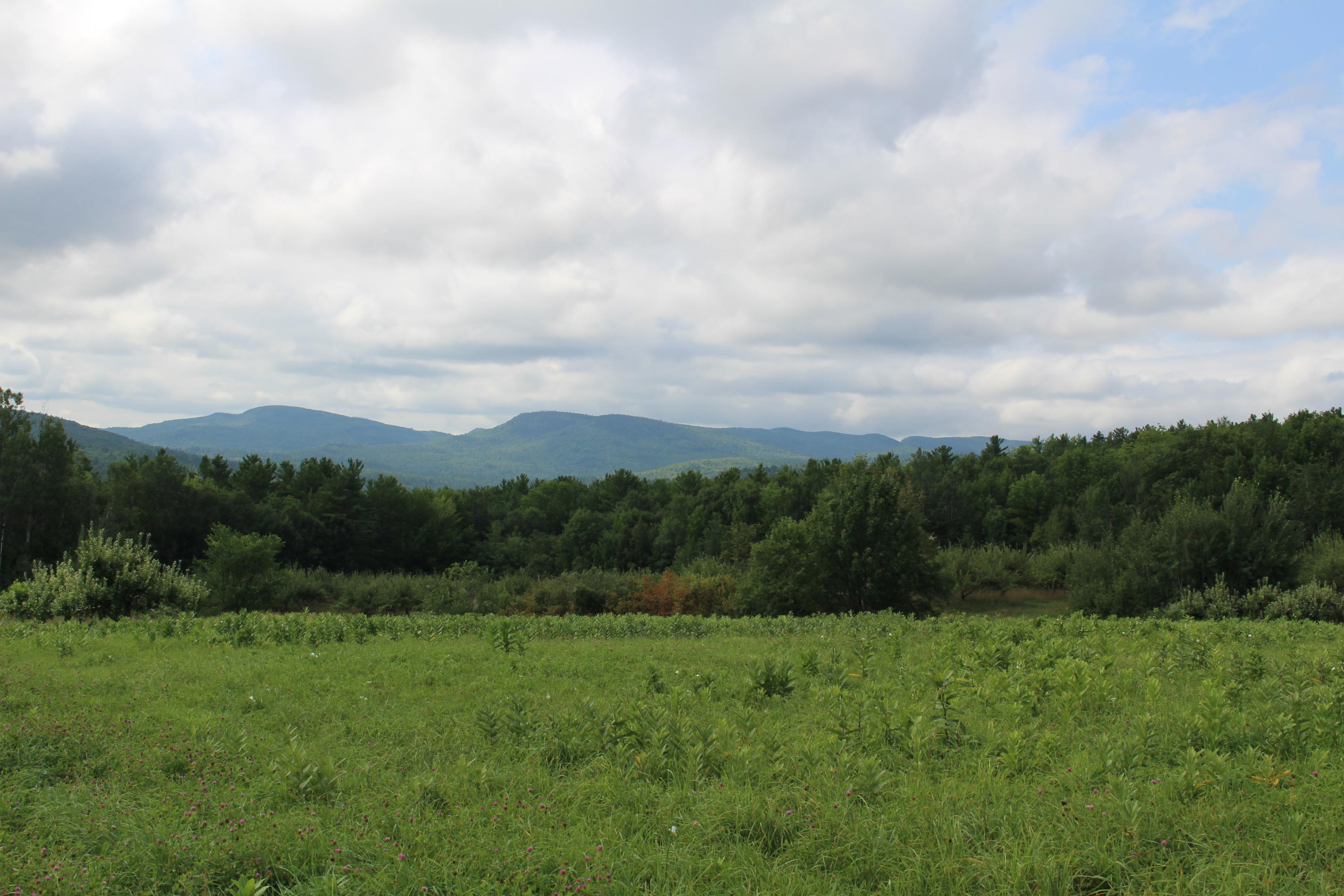 684 Grover Hill Road, Bethel, ME, 04217