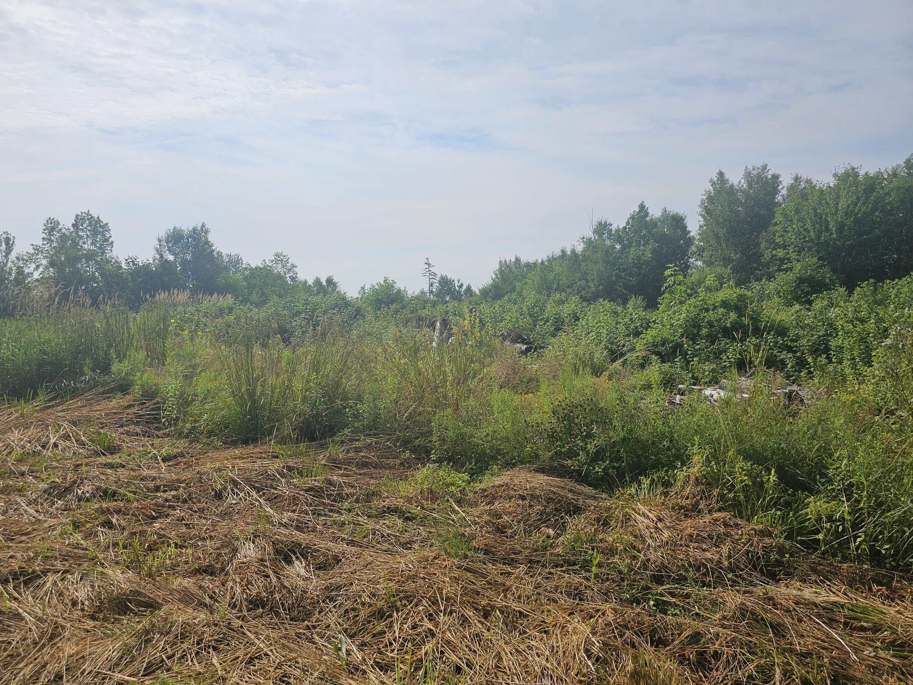 L3 M,R-1 Aroostook Scenic Highway, Patten, ME, 04765