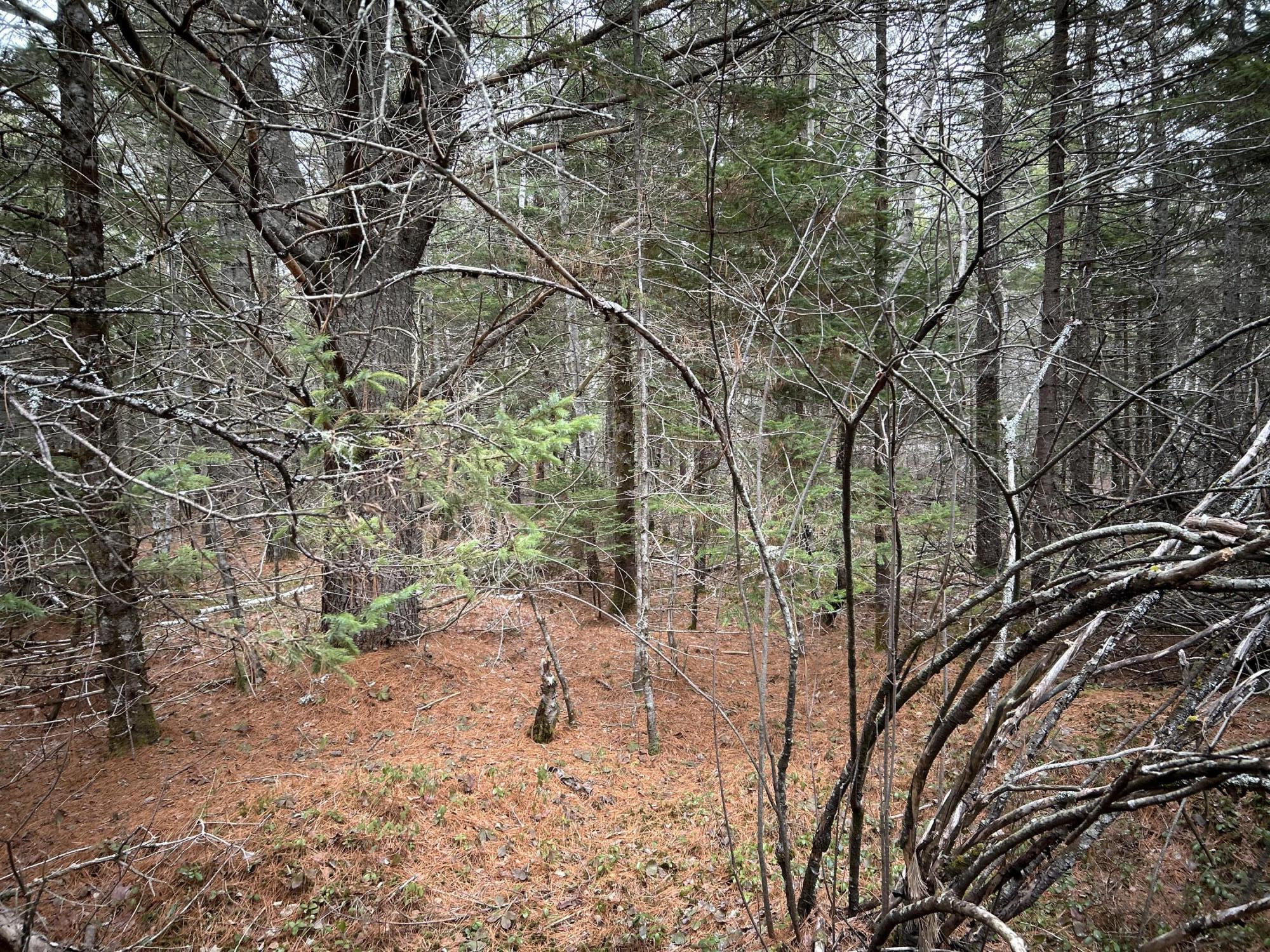 WA31P01L21 Kings Street, Dennysville, ME, 04628