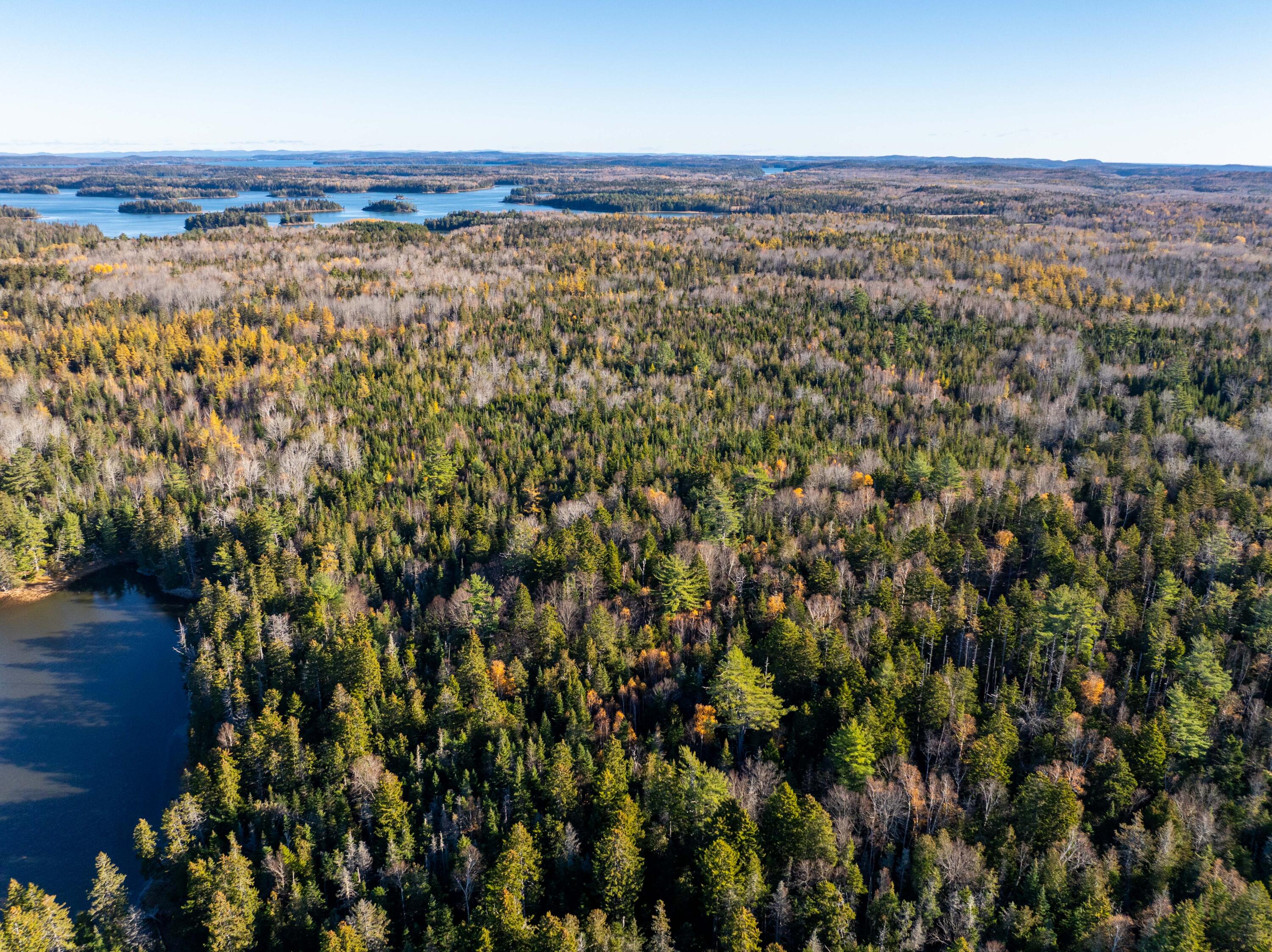 01-4 WA035, Trescott Twp, ME, 04652