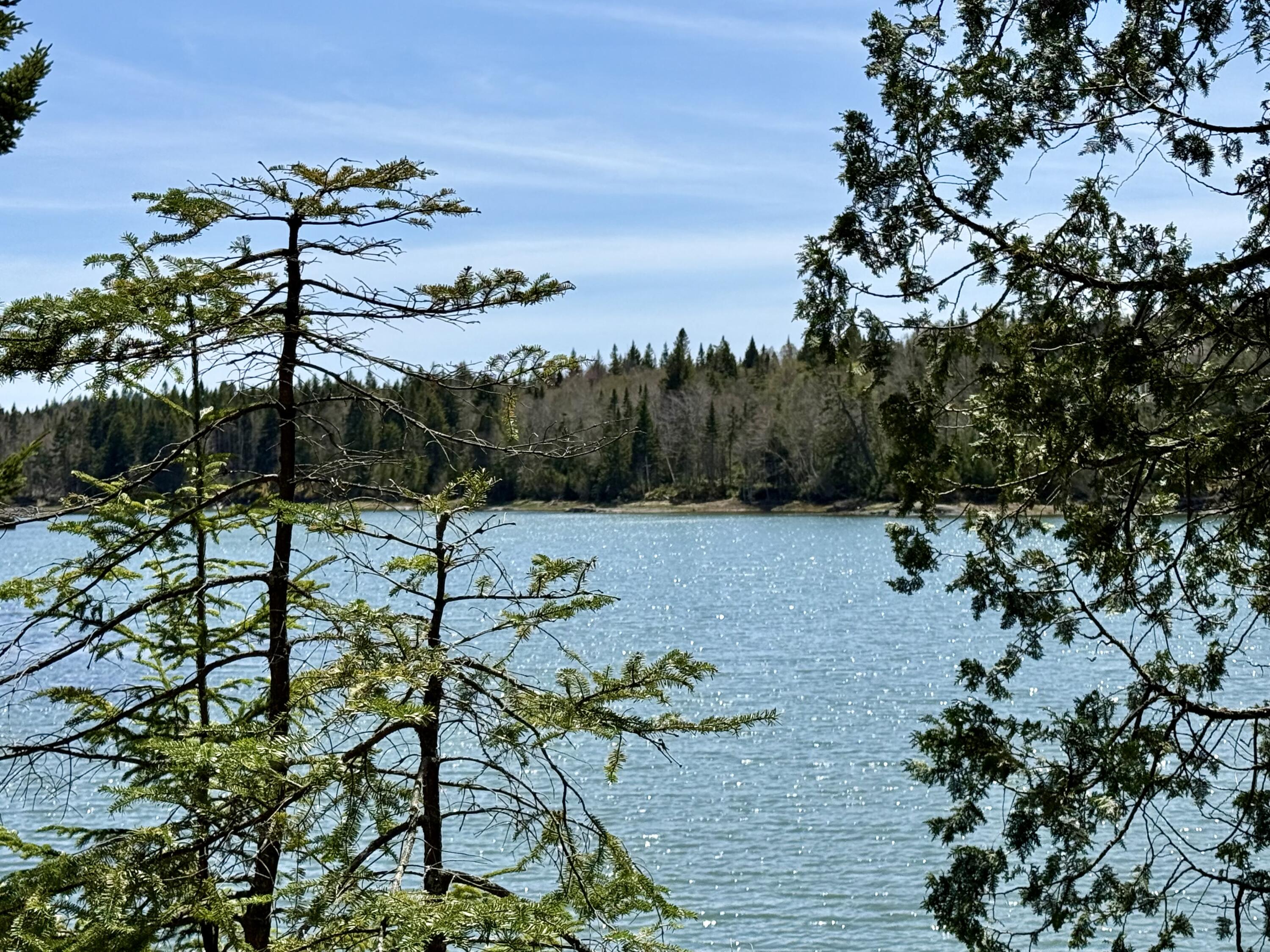 Lot 15 Collins Cove Road, Machiasport, ME, 04655