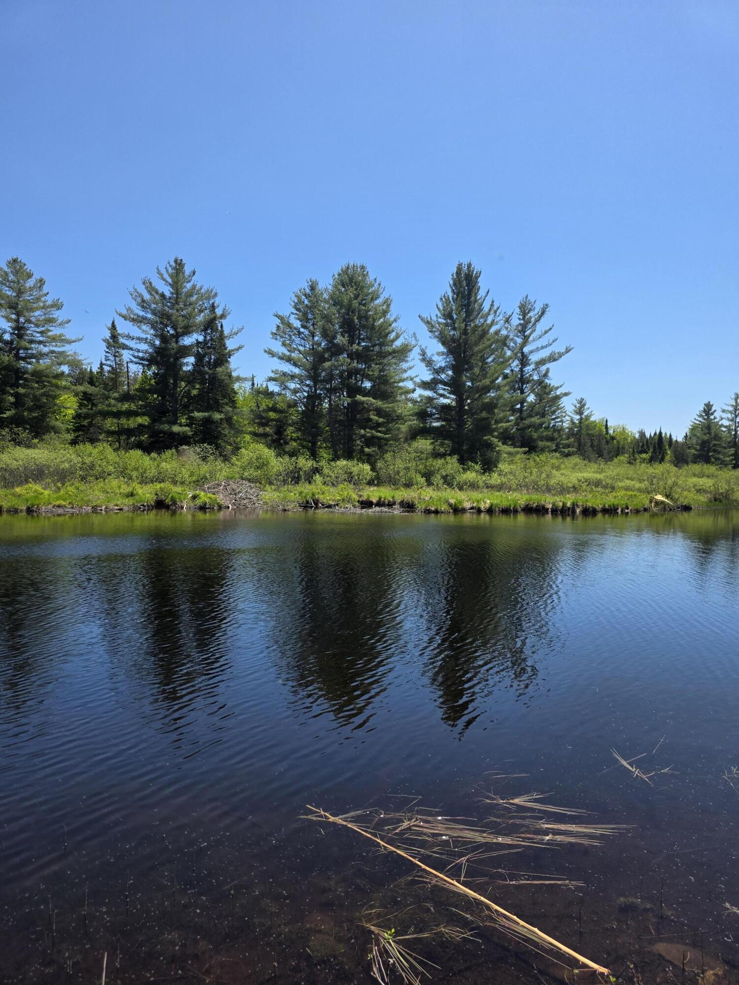P 8 L 4 Prescott Pond Rd., Moxie Gore, ME 04985 13886
