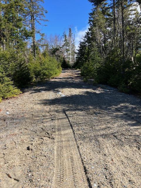 Lot 17A Yoho Head Road, Machiasport, ME, 04655