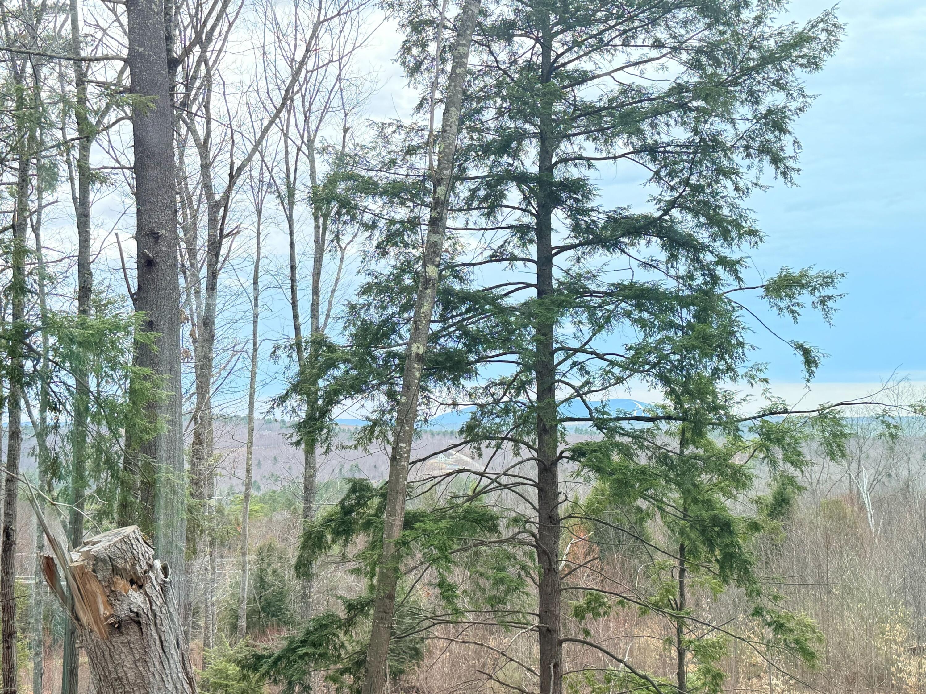 190 Deer Hill Road, Harrison, ME, 04040