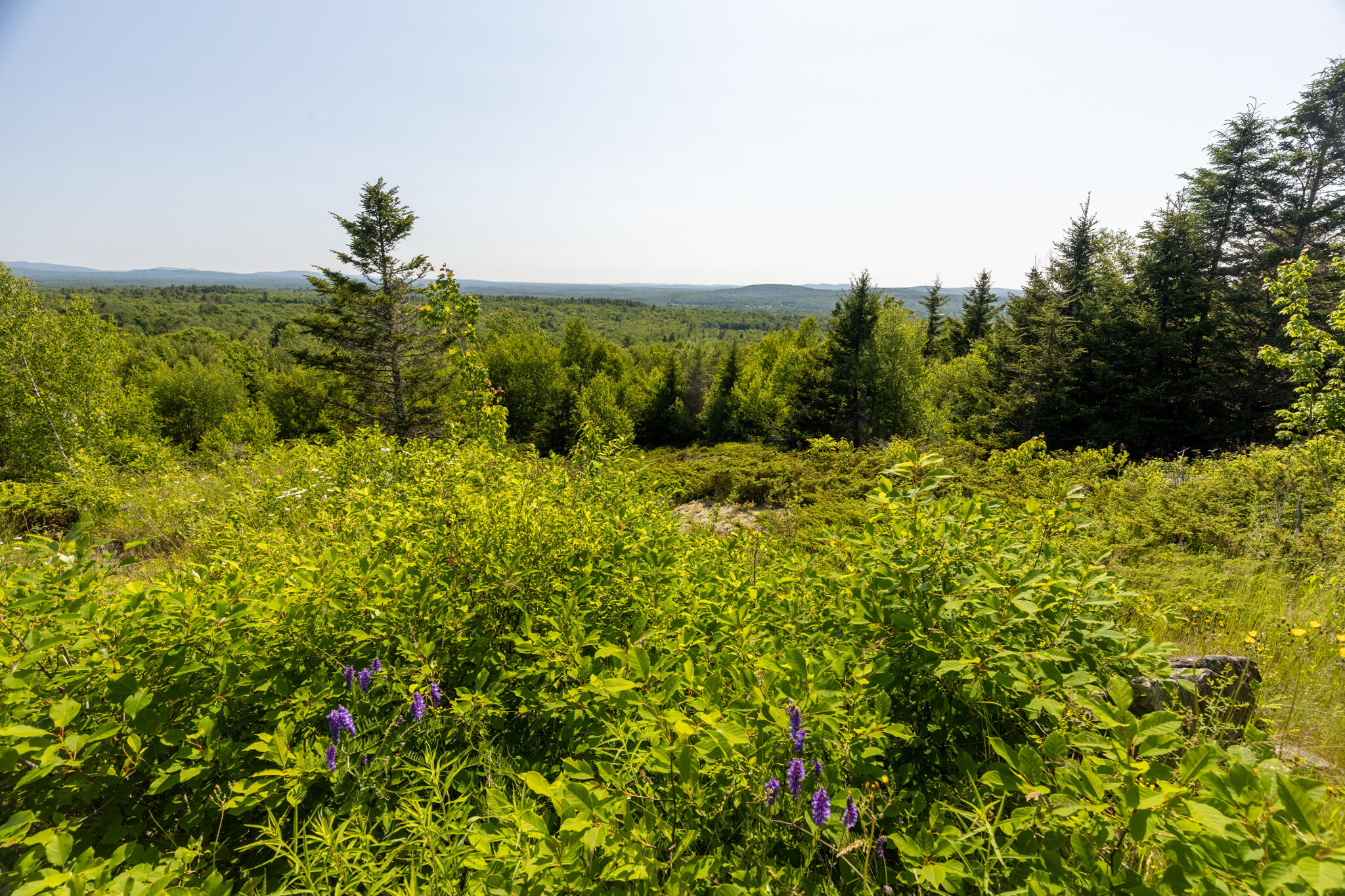 533 Mount Ephraim Map 4 Lot 63 Road, Searsport, ME, 04974