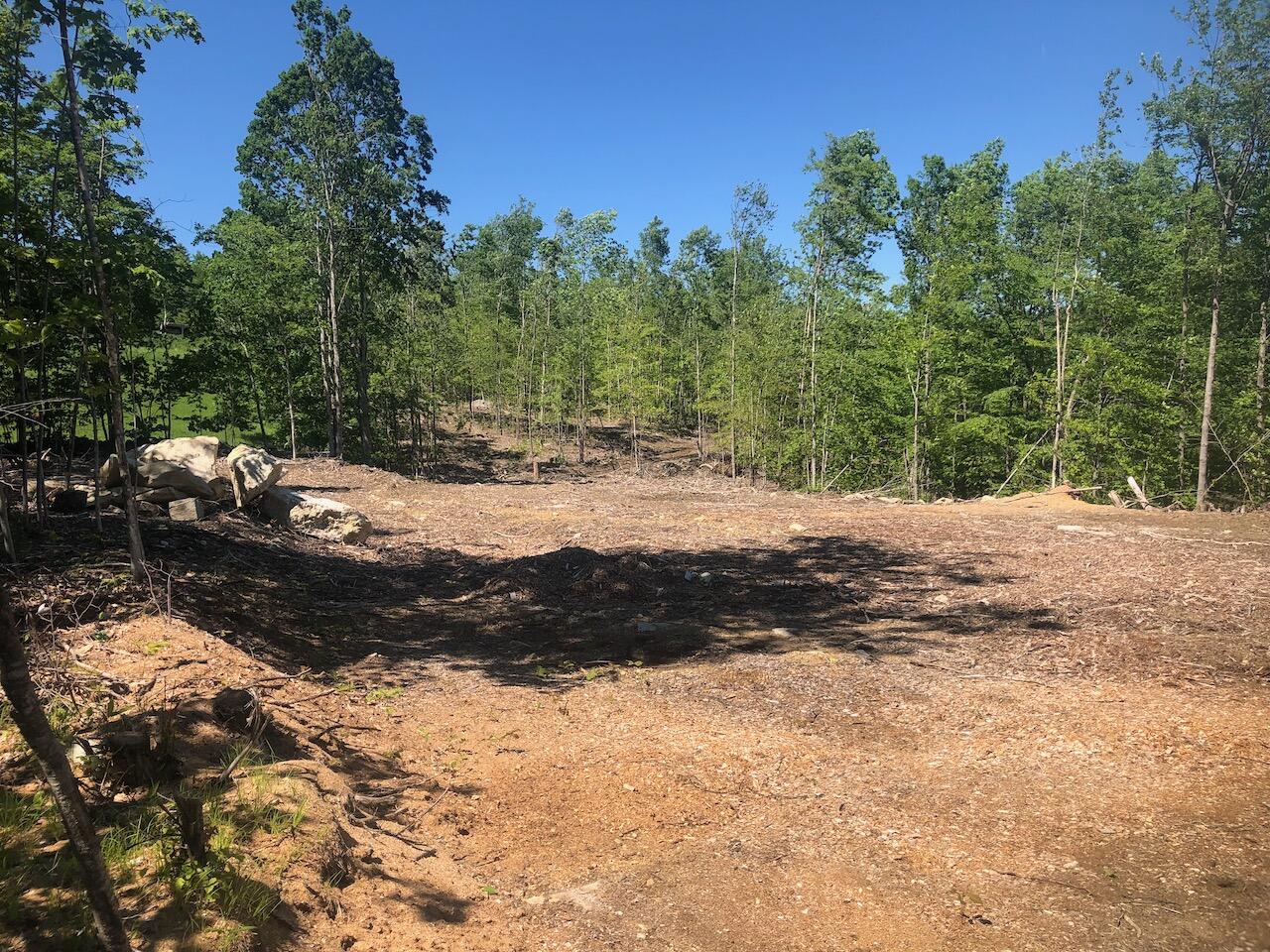 L25 Canton Mountain Road, Jay, ME 04239 IMG_8368