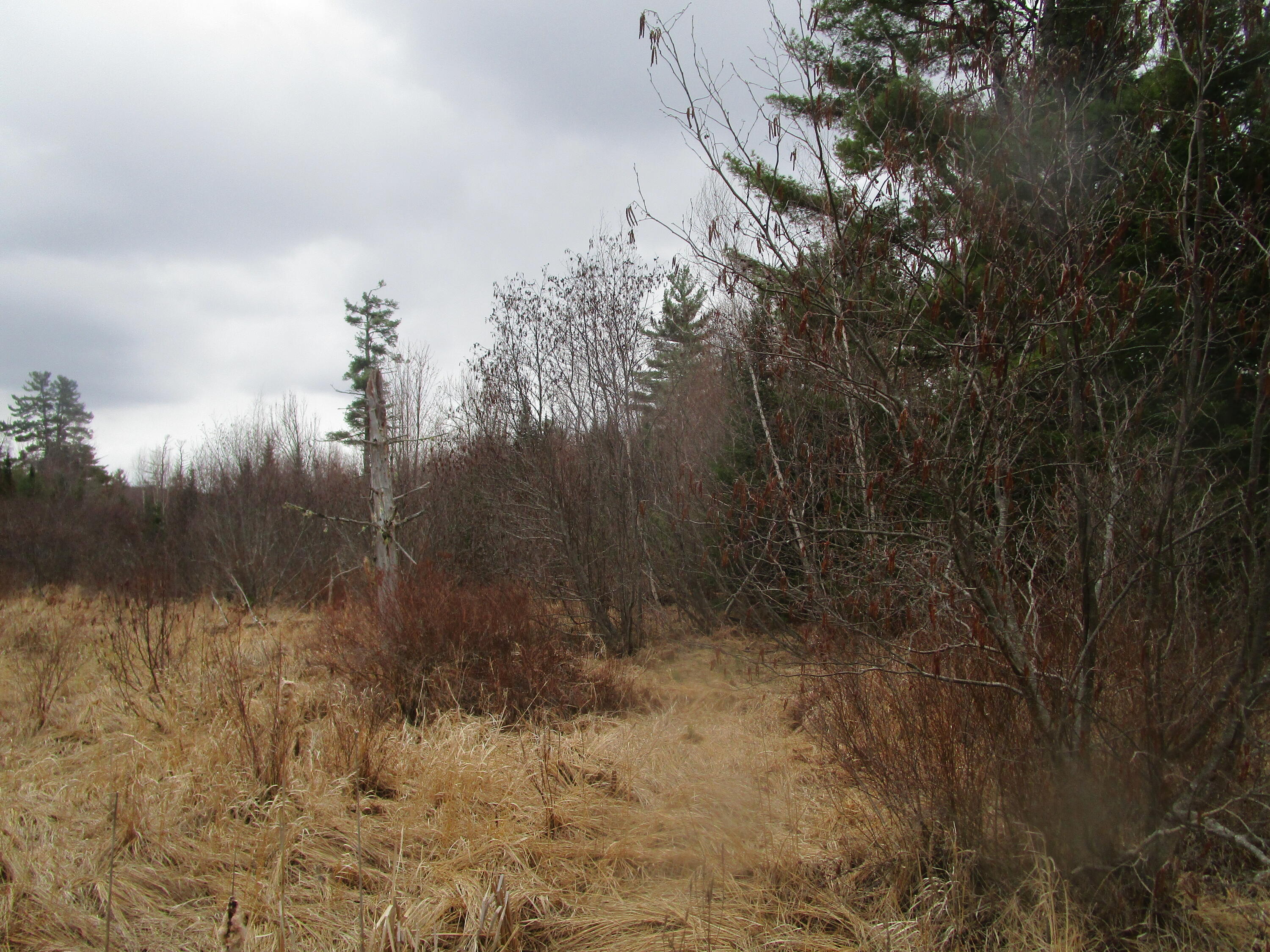 Rt 180 Rebel Hill Road, Clifton, ME, 04428