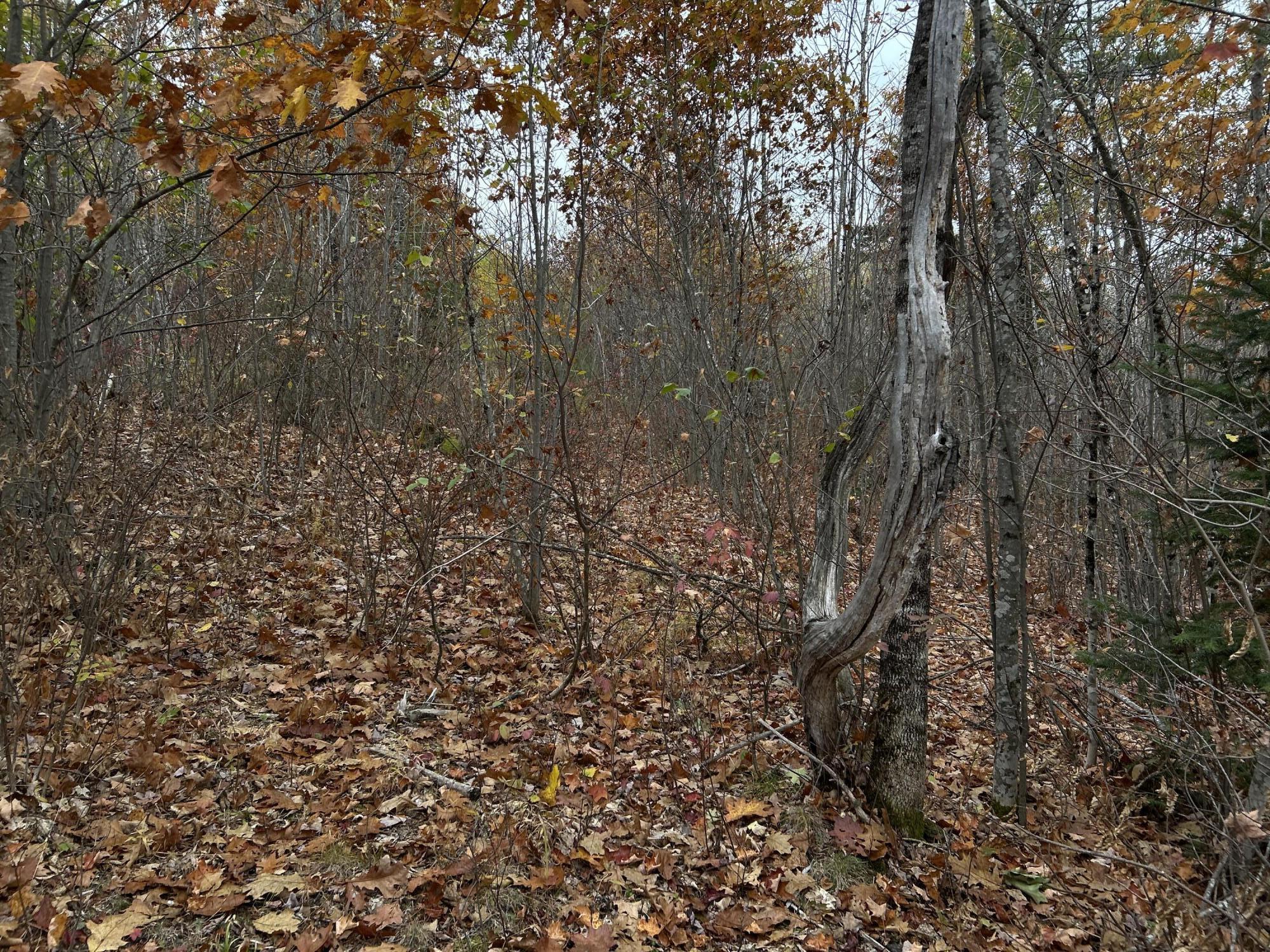 M4L18 Bog Road, Jackson, ME, 04921