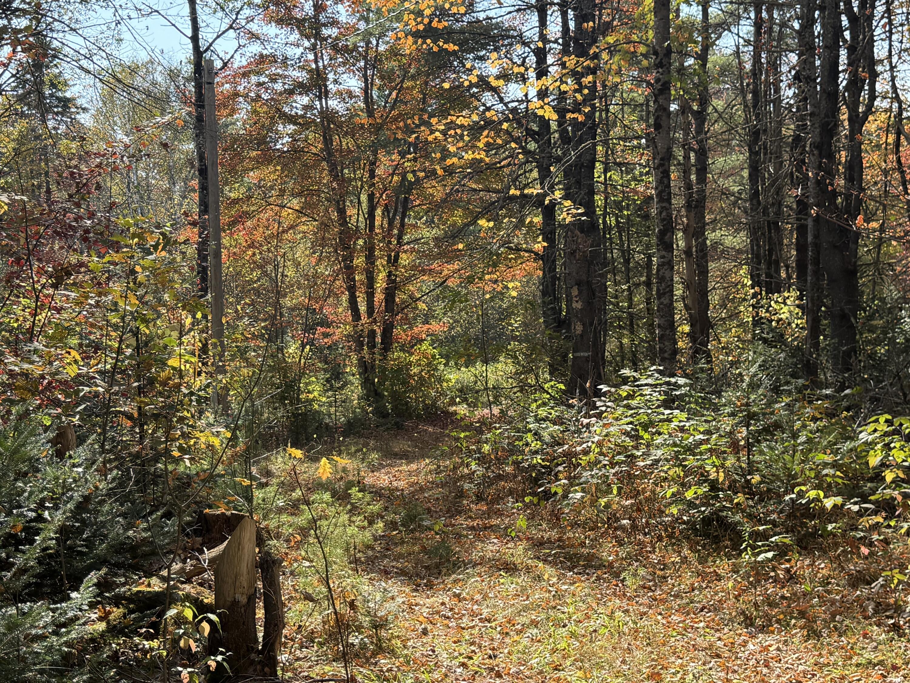 Off Andrews Road, Drew Plt, ME, 04497