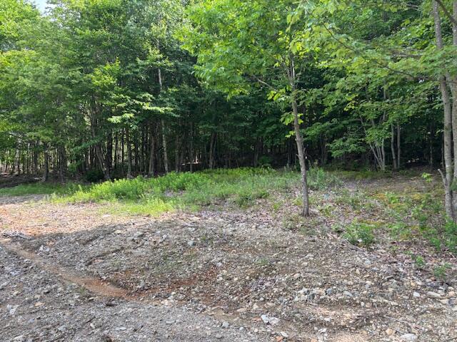 0 Dead Stream, Cooper, ME, 04657